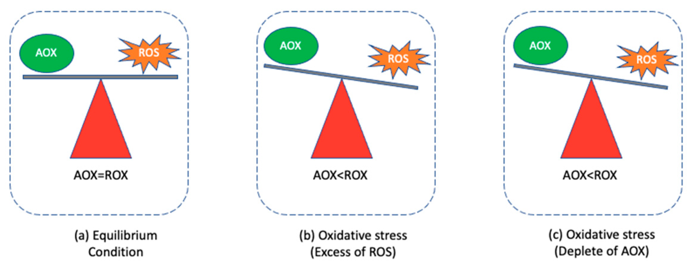 Nanomaterials 11 02354 g001