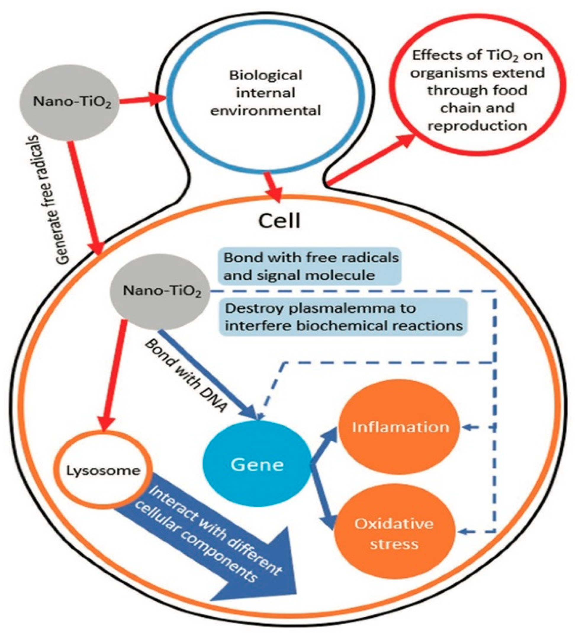 Nanomaterials 11 02354 g002