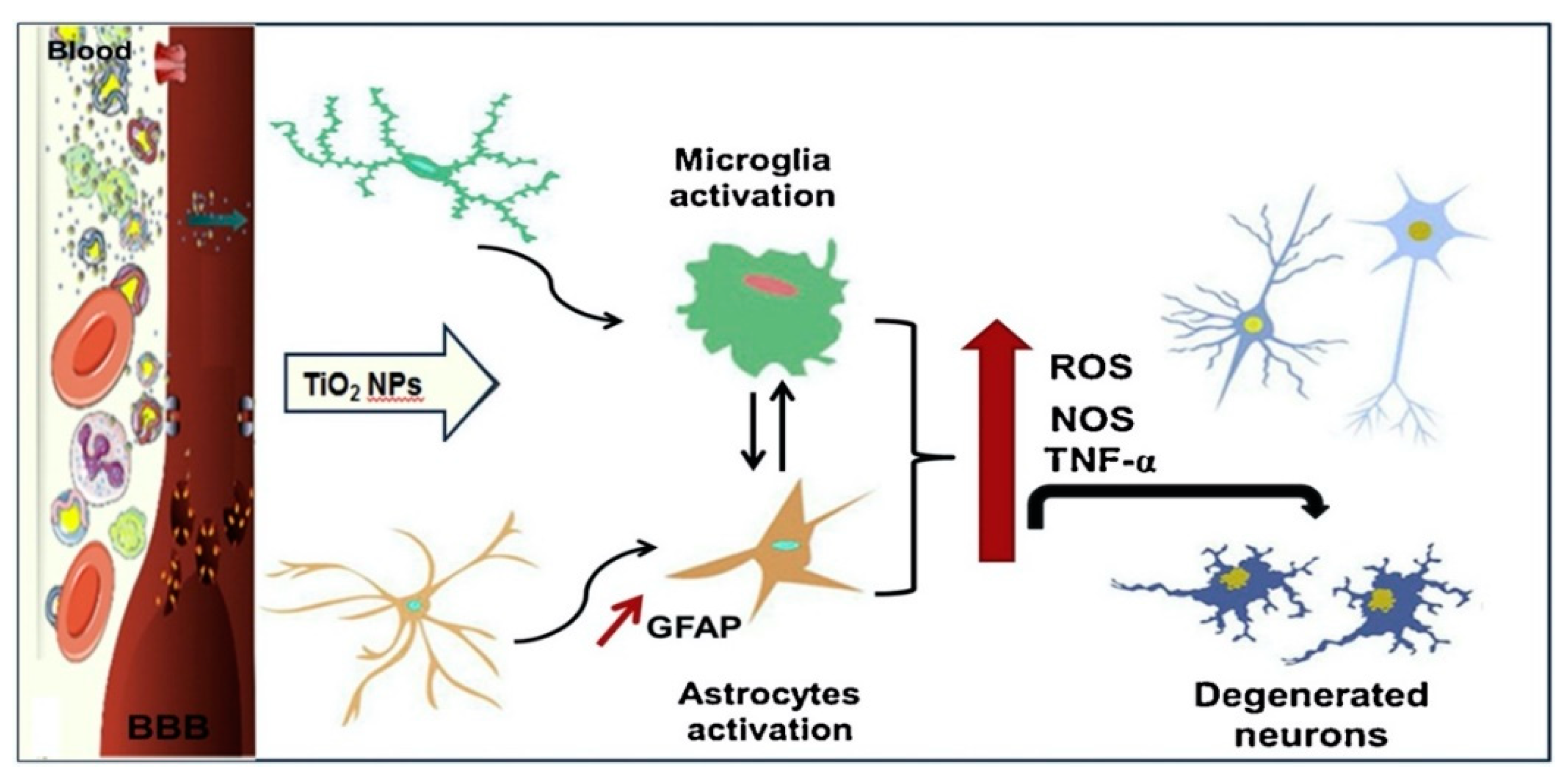 Nanomaterials 11 02354 g006