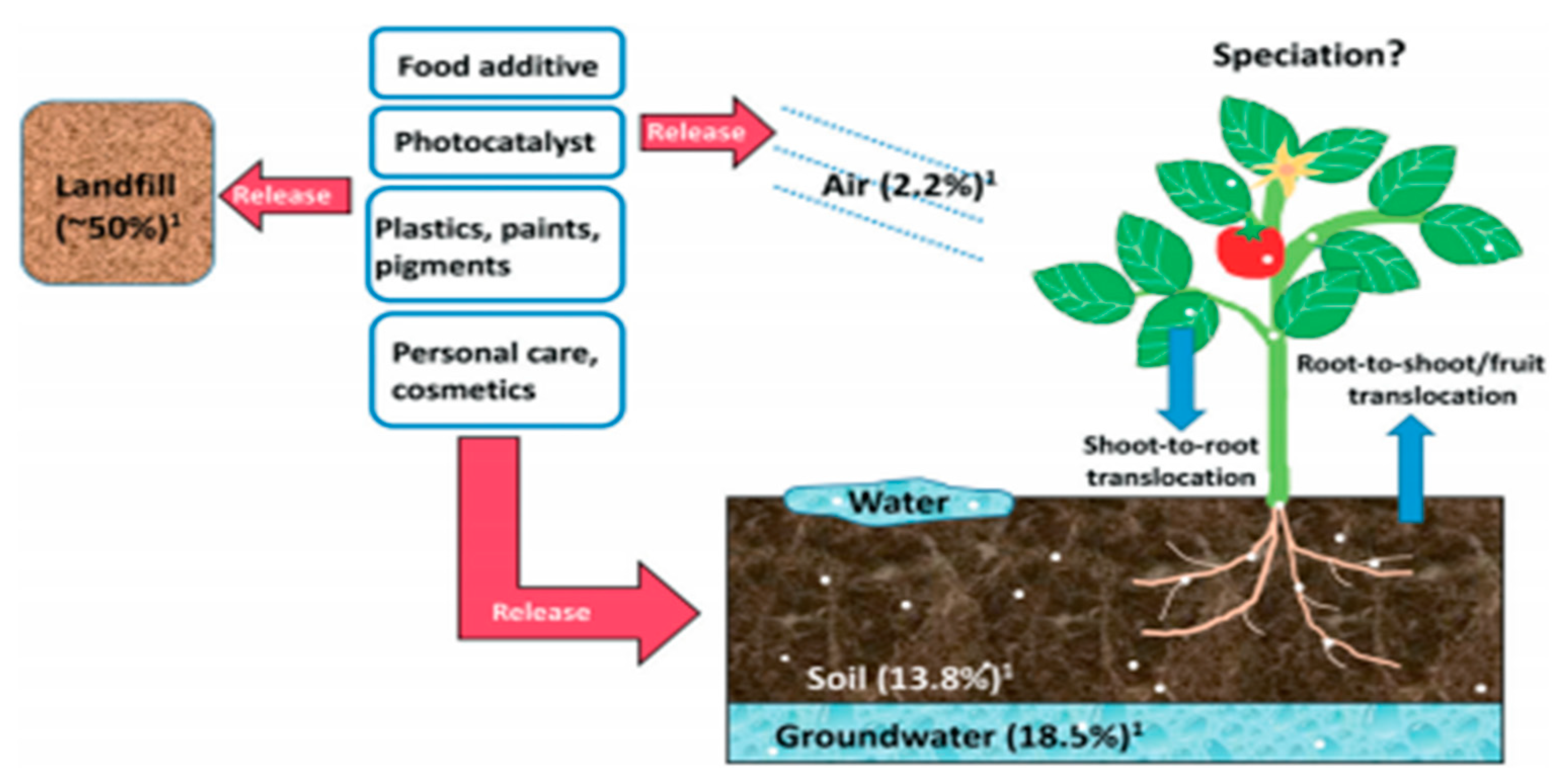 Nanomaterials 11 02354 g008