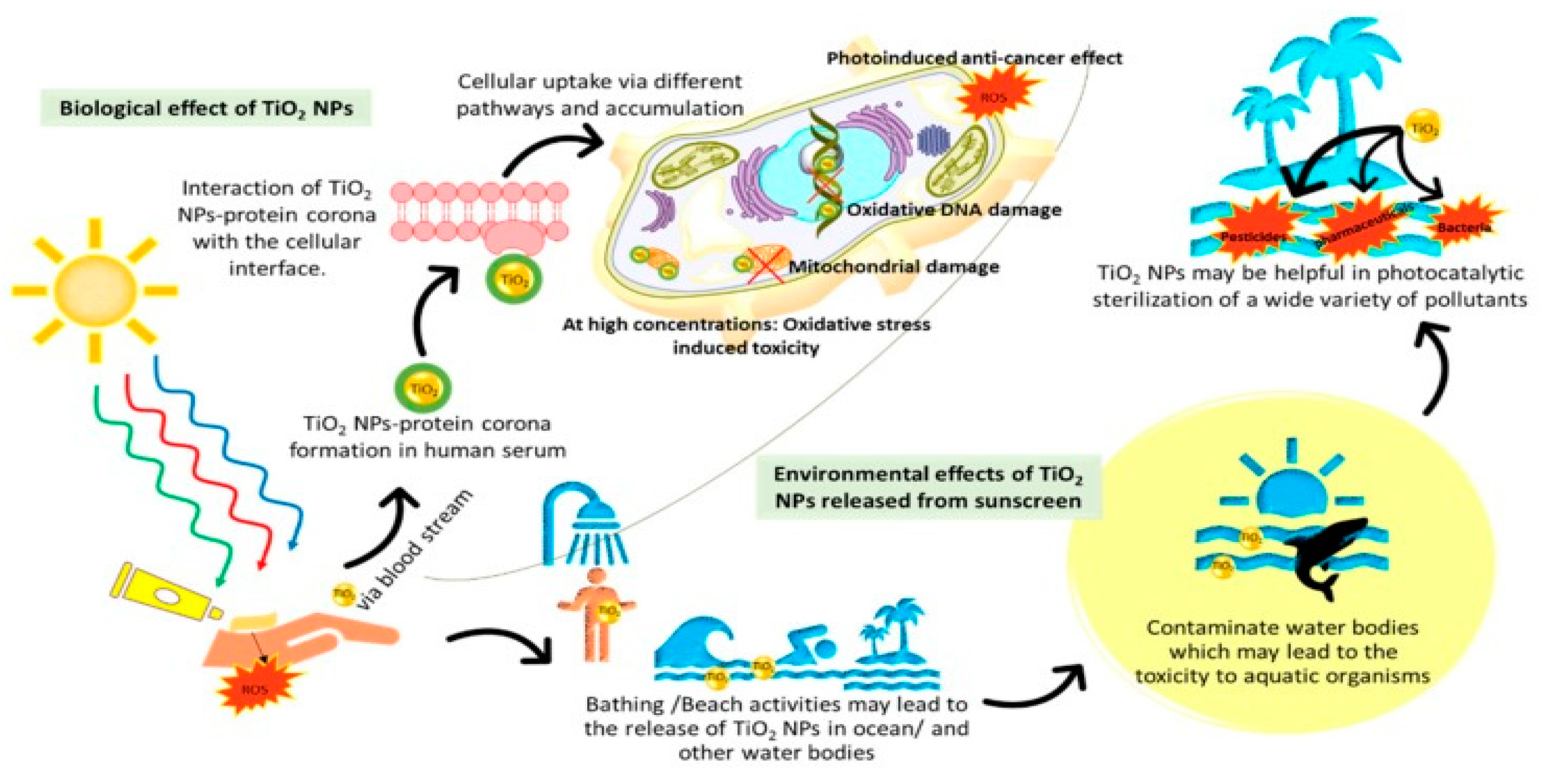 Nanomaterials 11 02354 g009