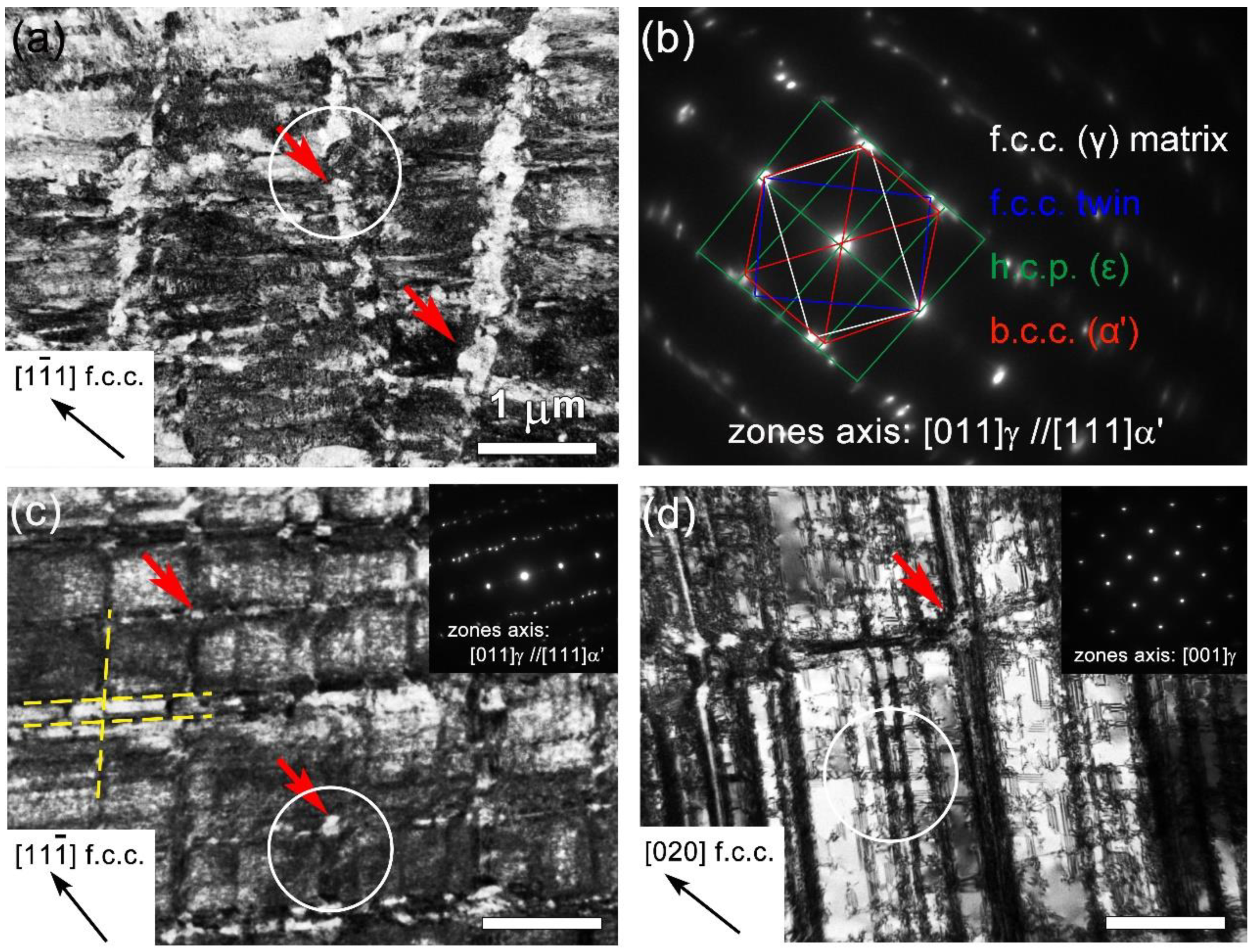 Nanomaterials 11 02356 g002 Nanomaterials 11 02356 g002
