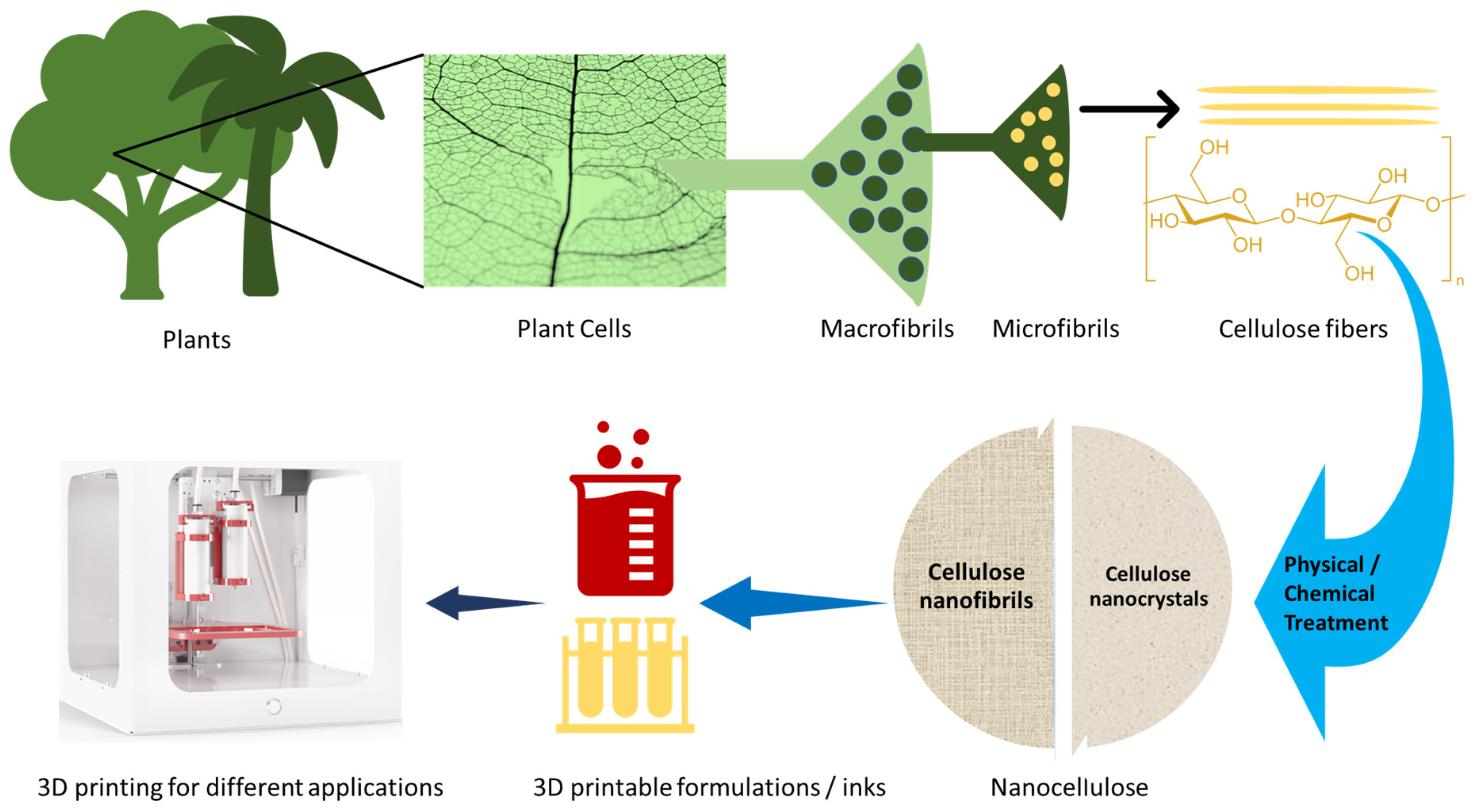 Nanomaterials 11 02358 g001