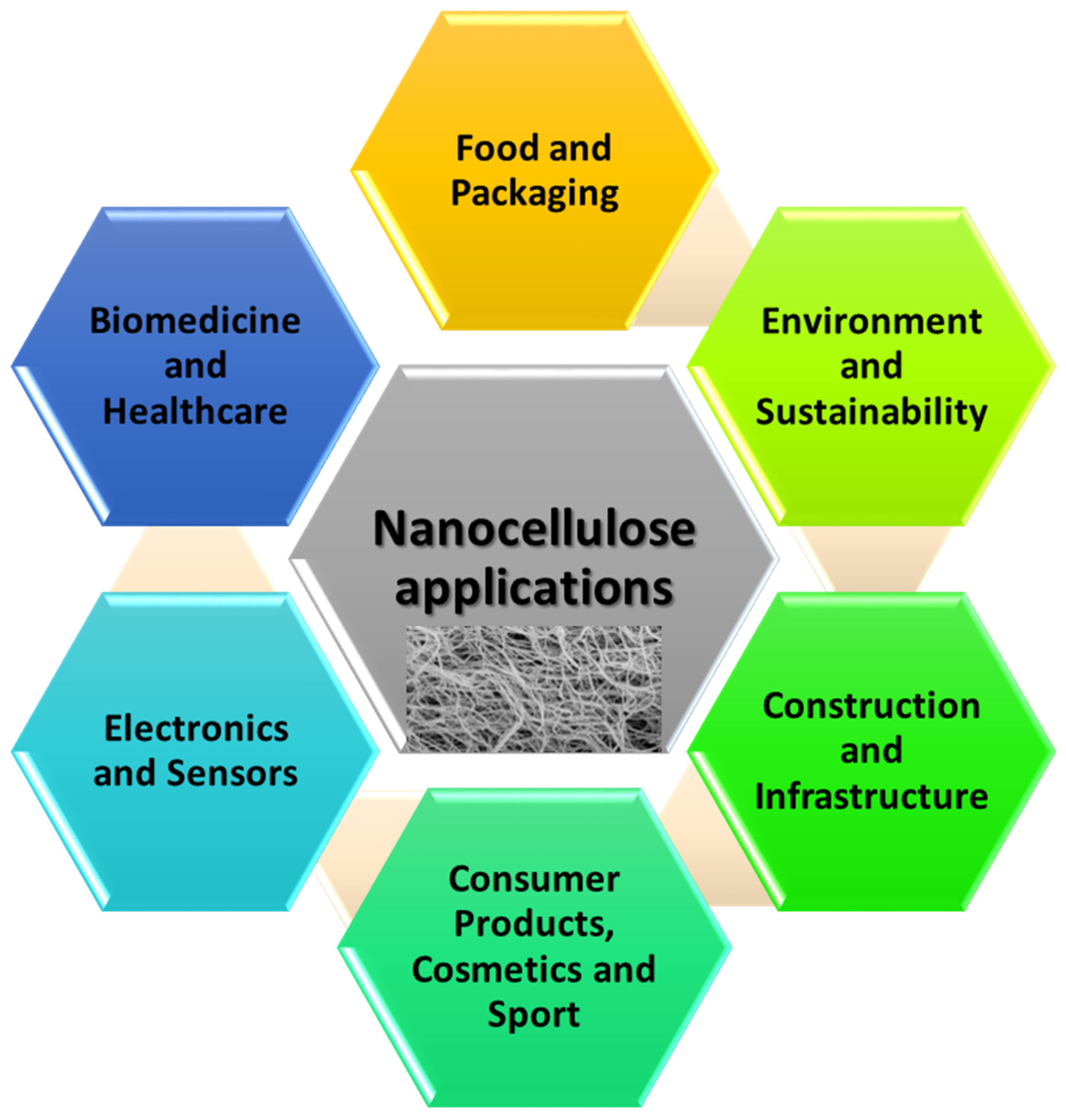 Nanomaterials 11 02358 g006