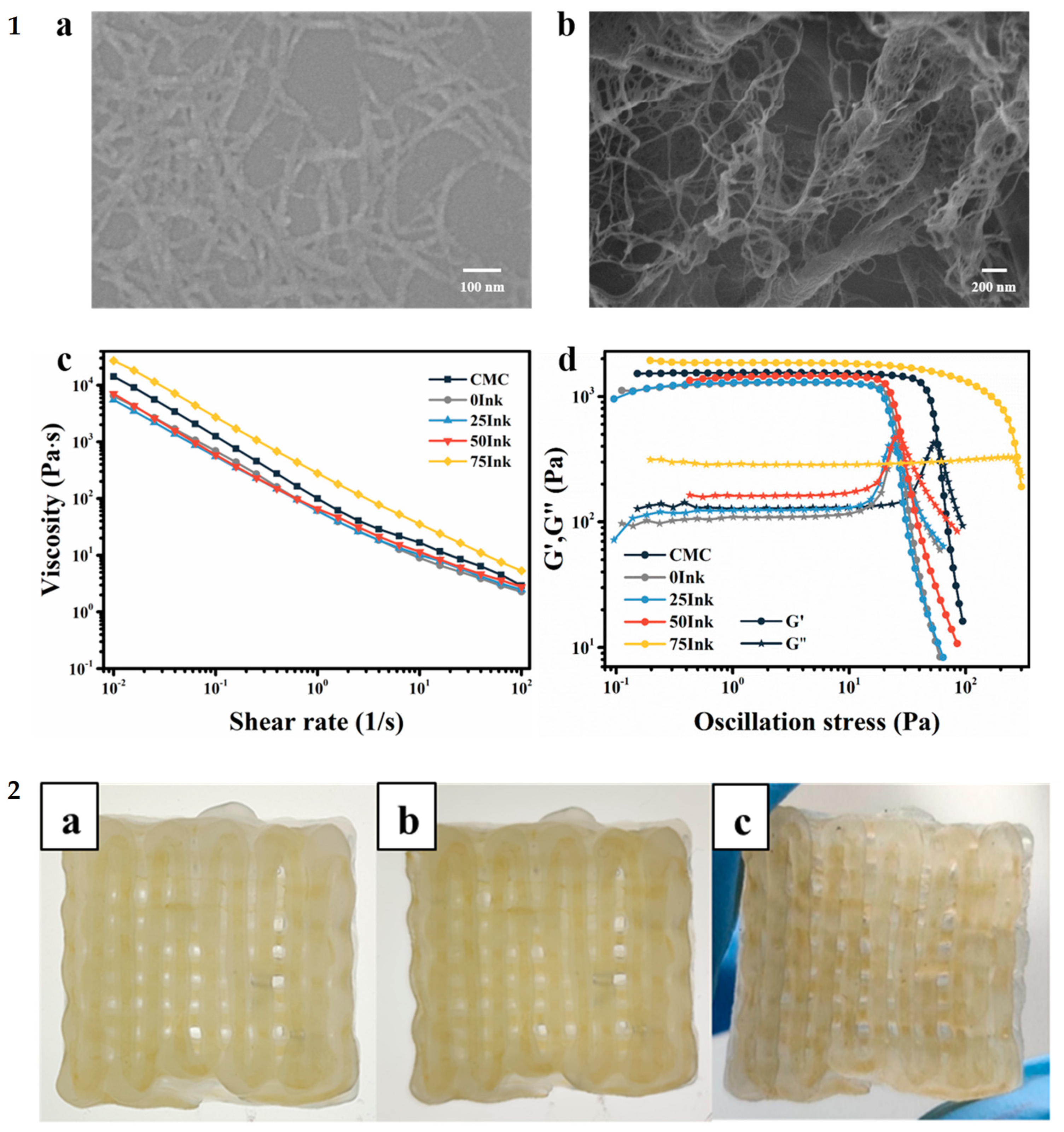 Nanomaterials 11 02358 g011
