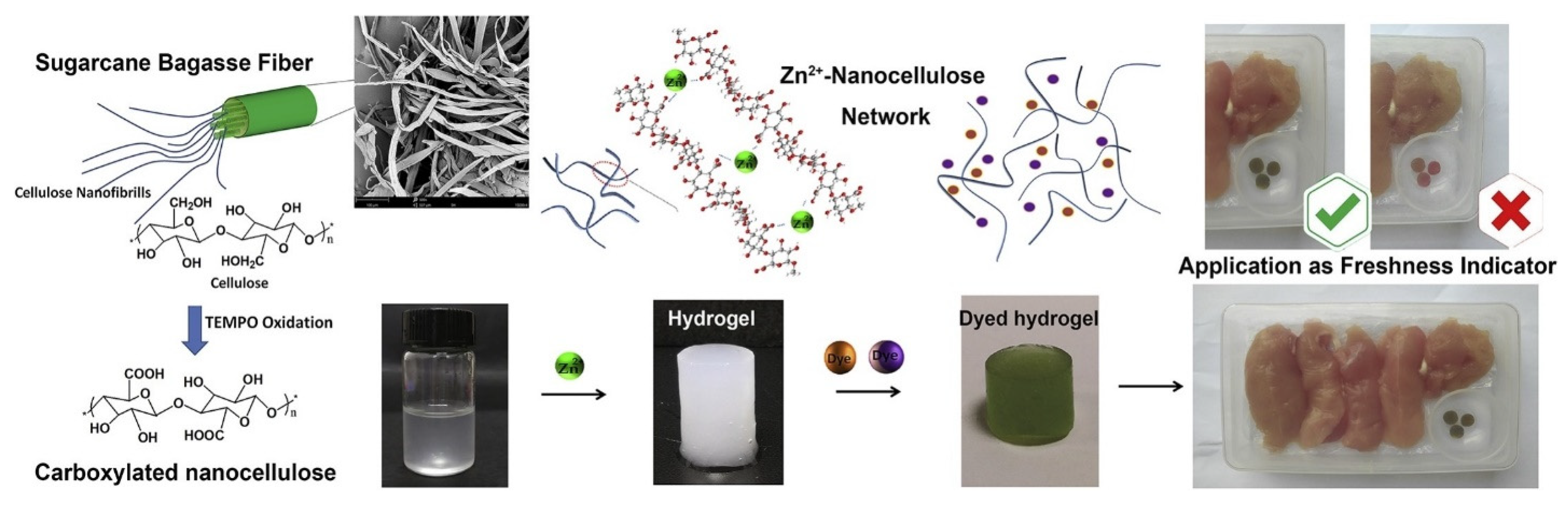 Nanomaterials 11 02358 g013