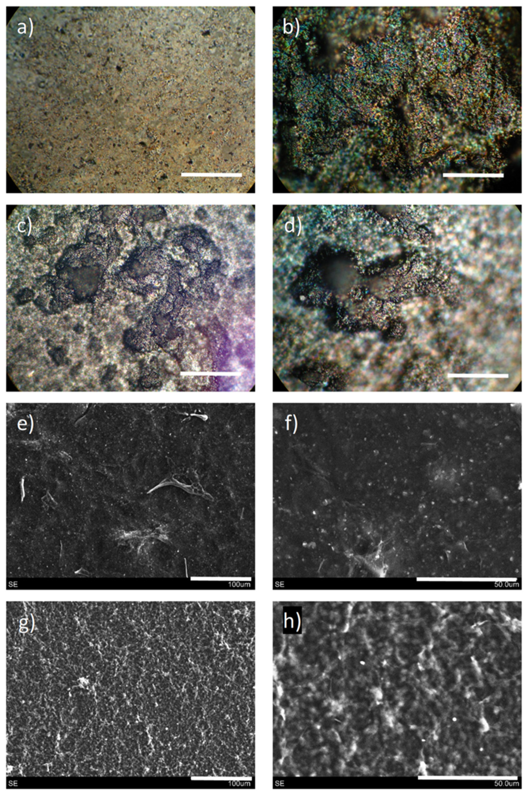 Nanomaterials 11 02358 g014