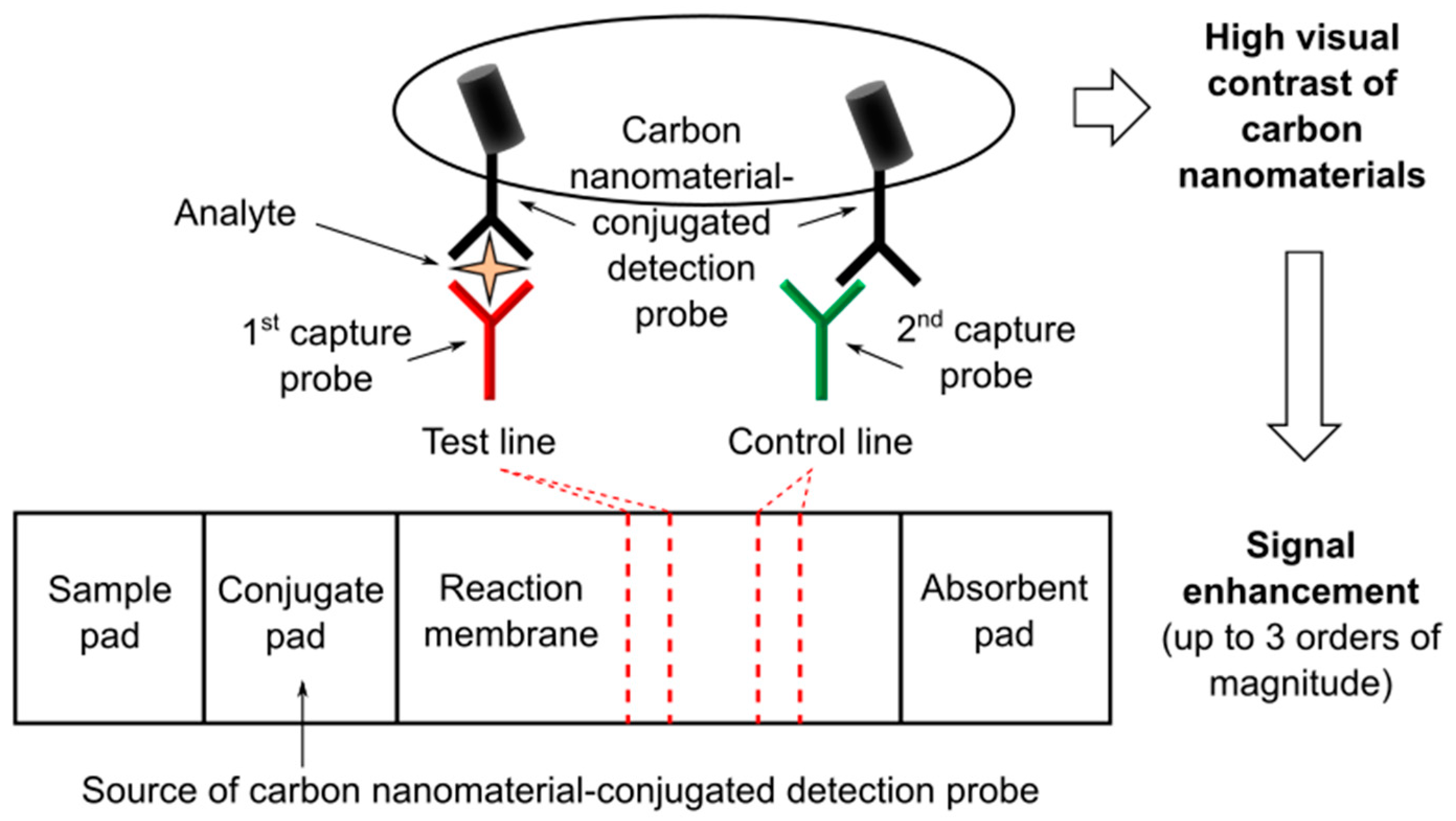 Nanomaterials 11 02362 g004