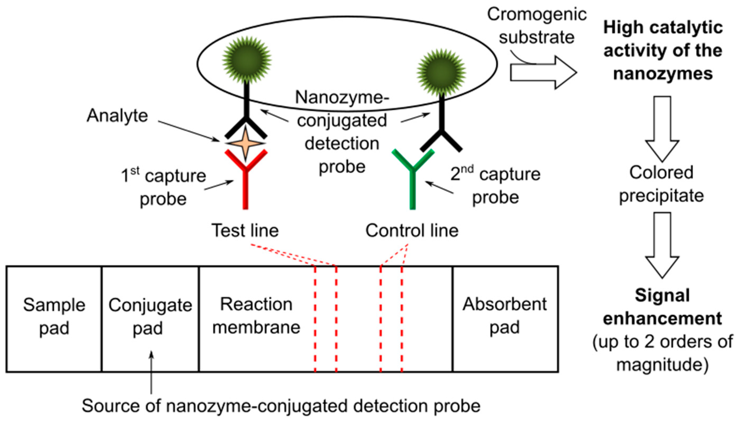 Nanomaterials 11 02362 g005