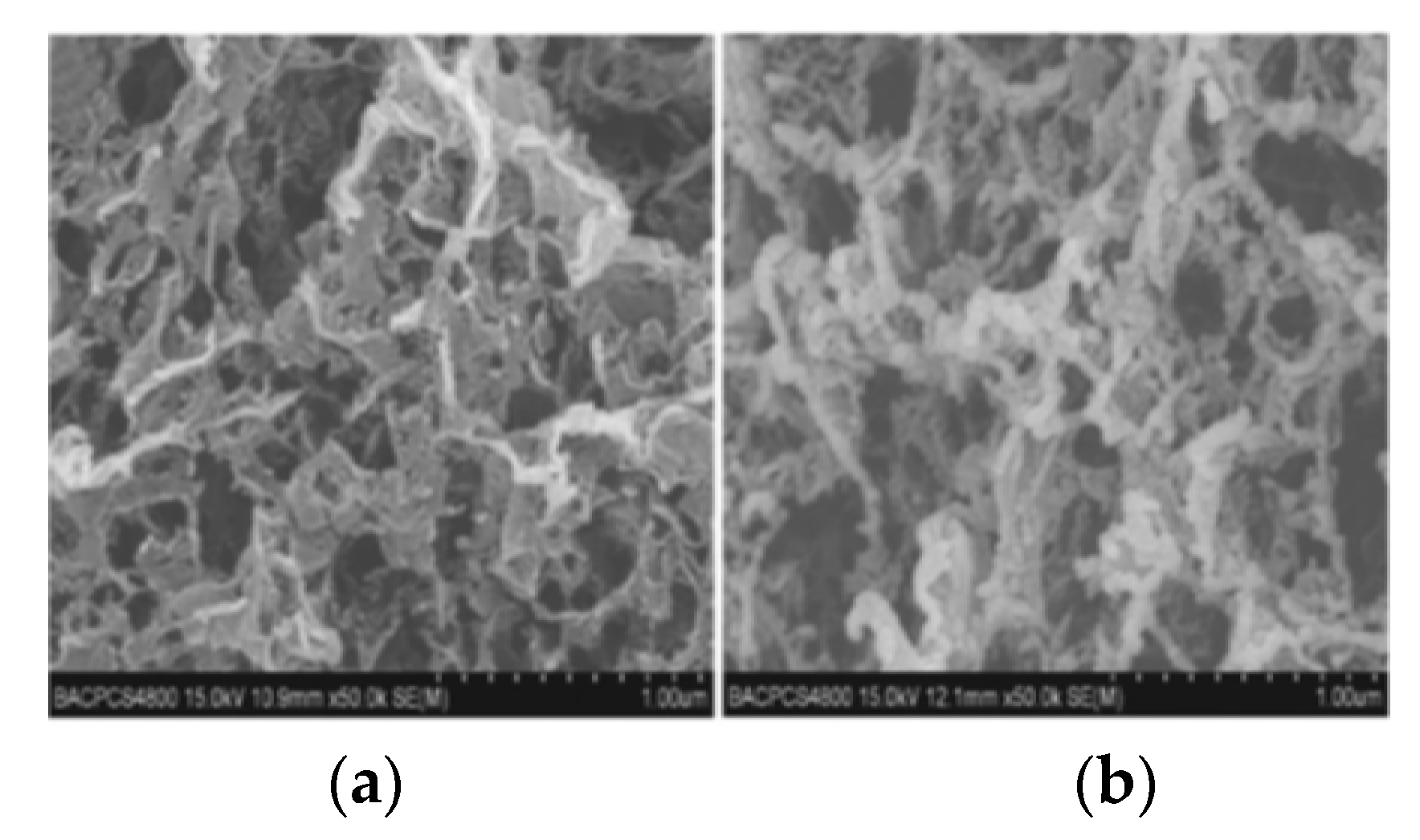 Nanomaterials 11 02374 g001