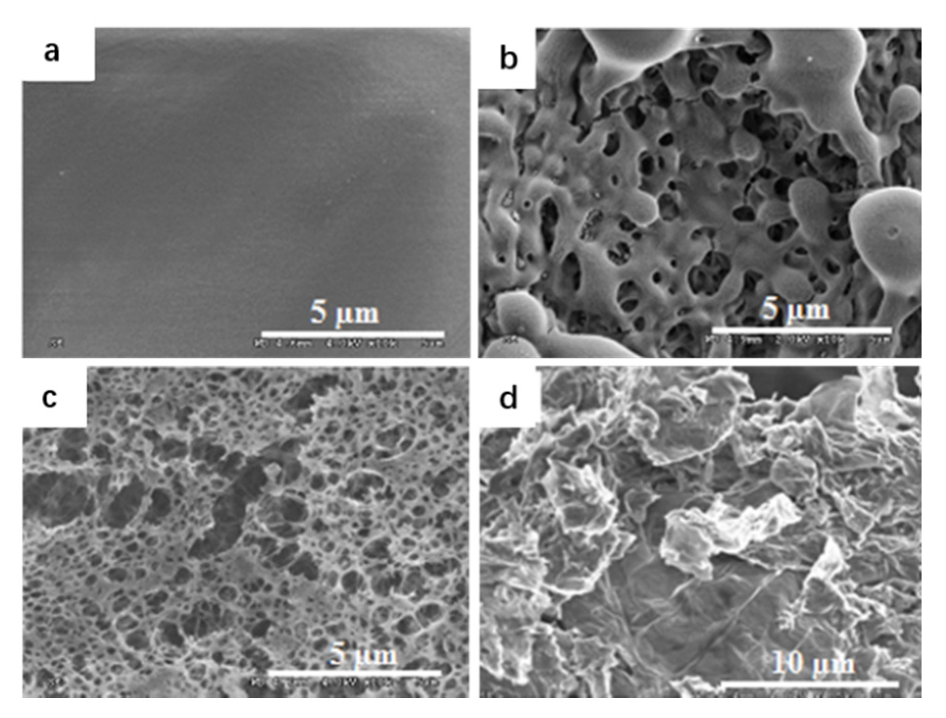 Nanomaterials 11 02374 g013