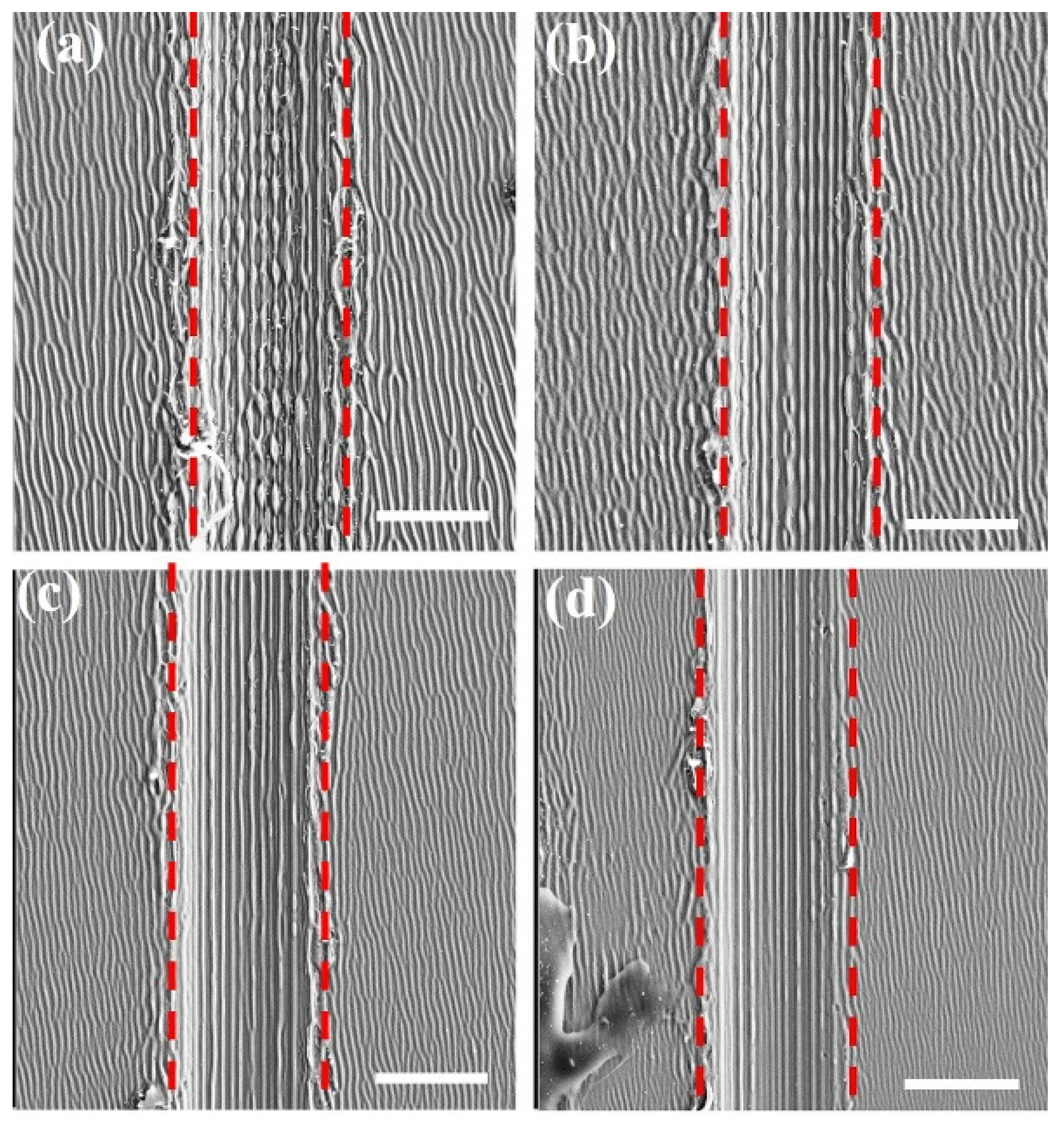 Nanomaterials 11 02389 g007