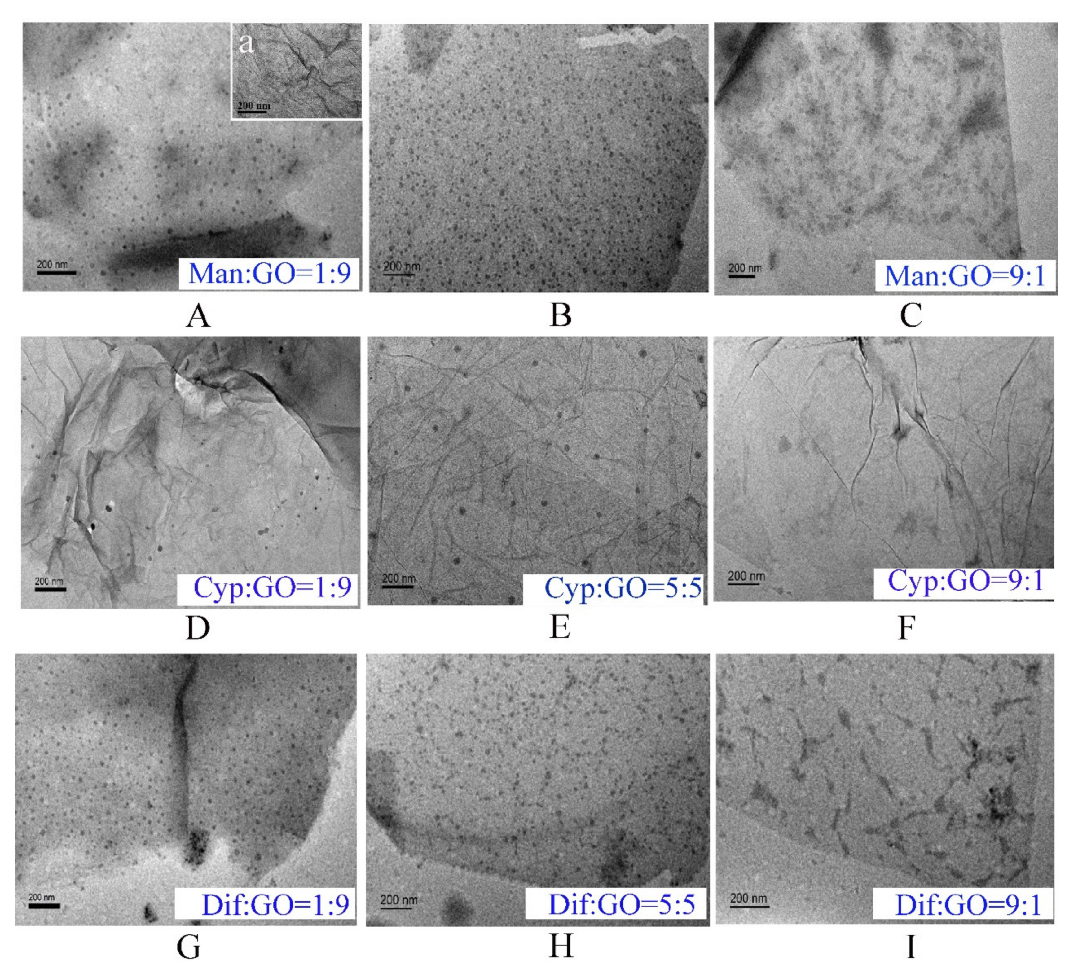 Nanomaterials 11 02393 g002