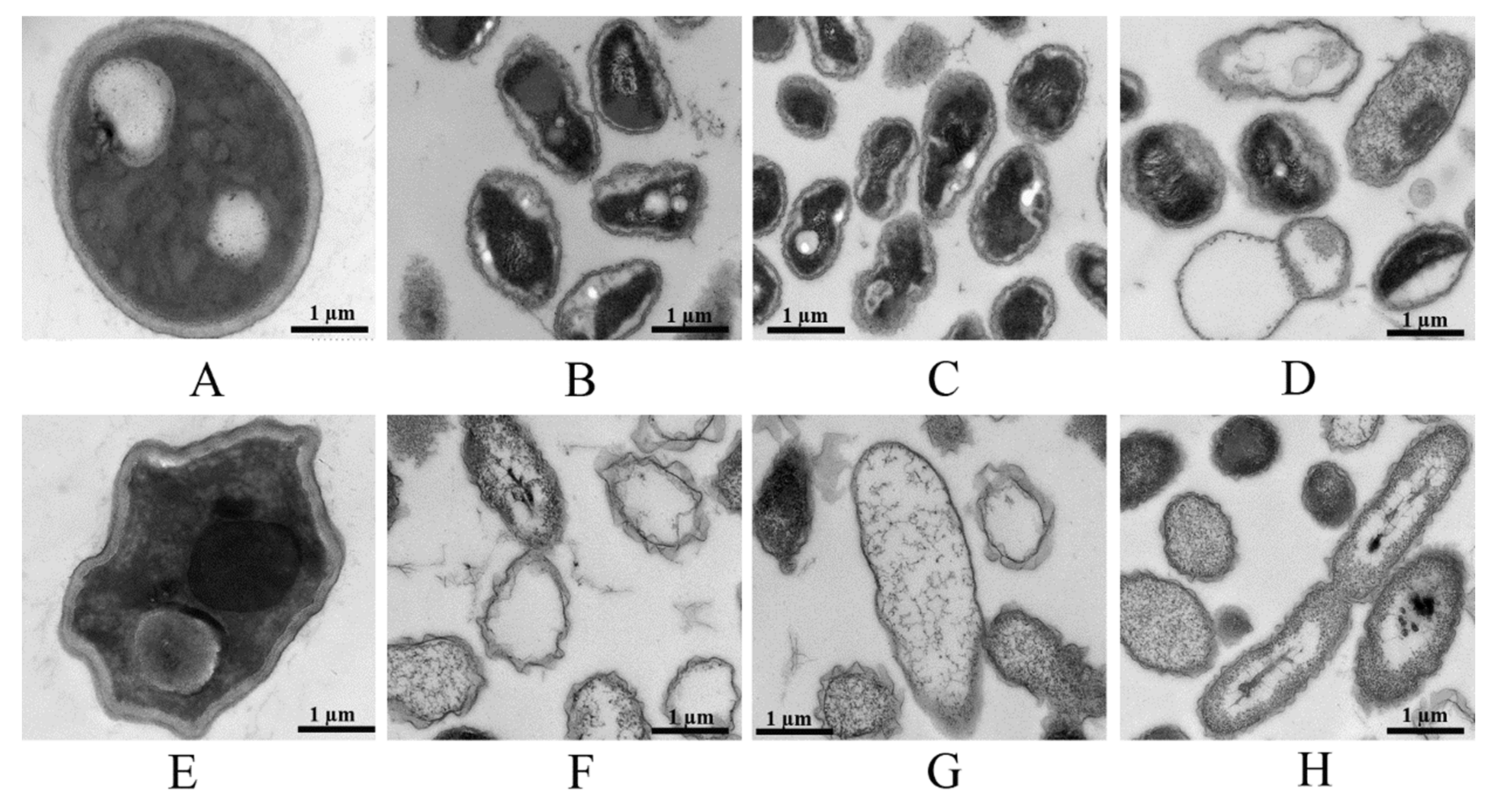 Nanomaterials 11 02393 g007