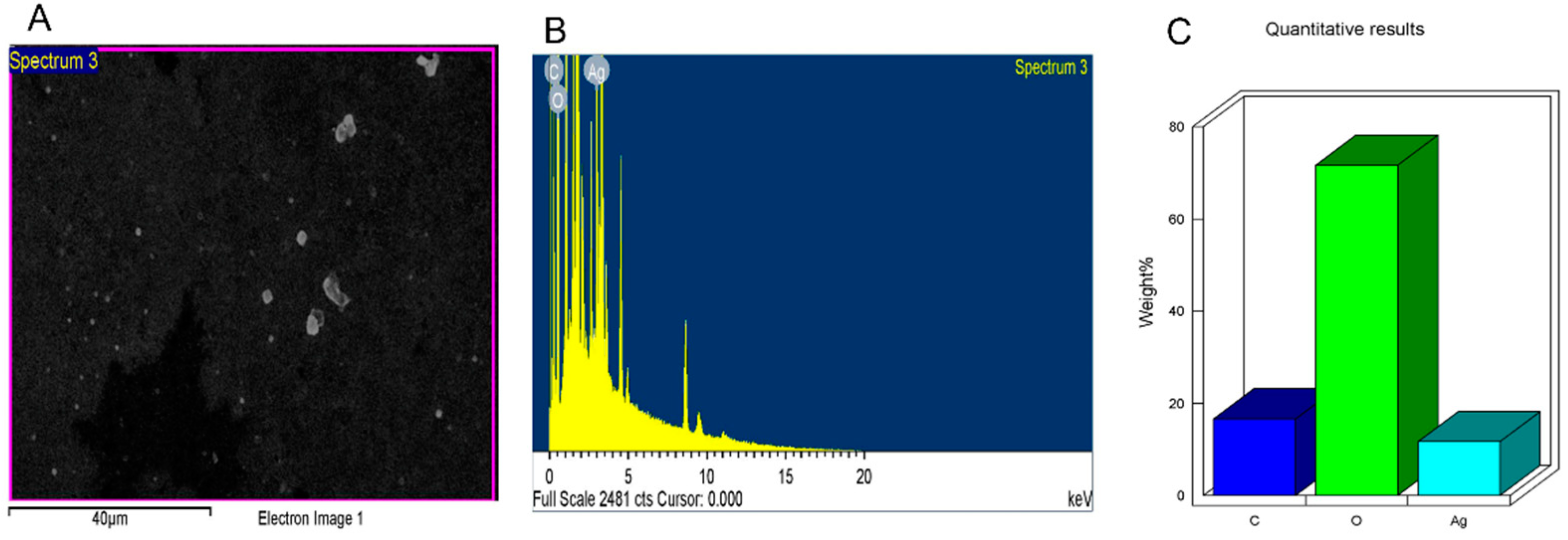 Nanomaterials 11 02400 g003