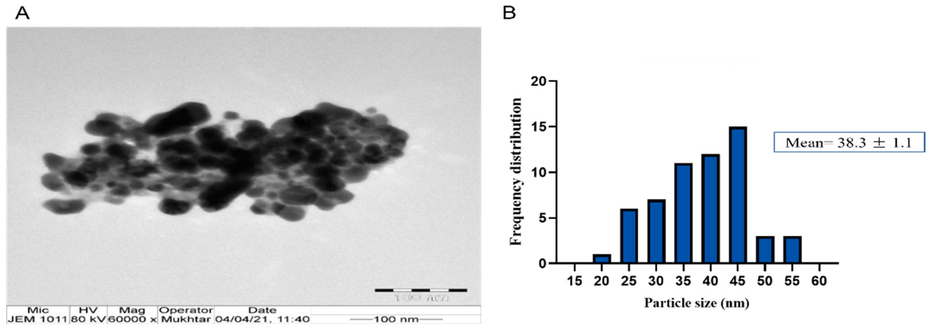 Nanomaterials 11 02400 g009