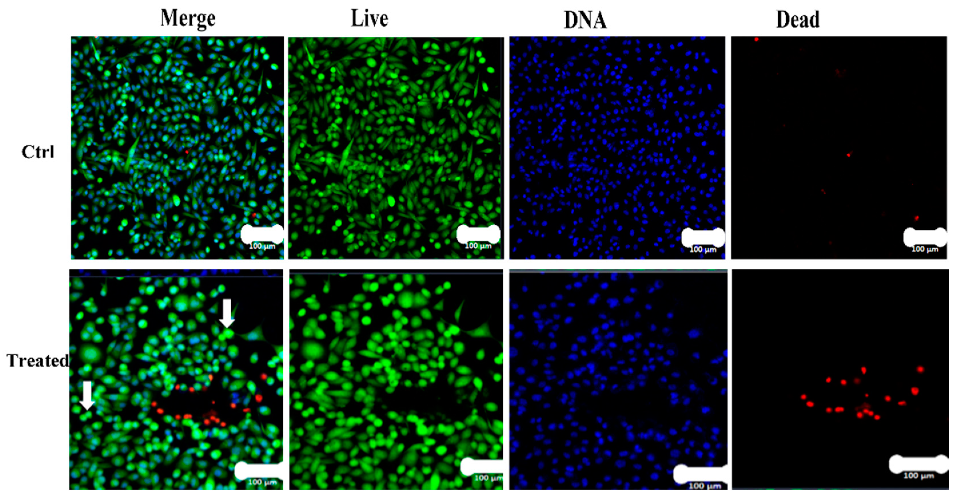 Nanomaterials 11 02400 g012