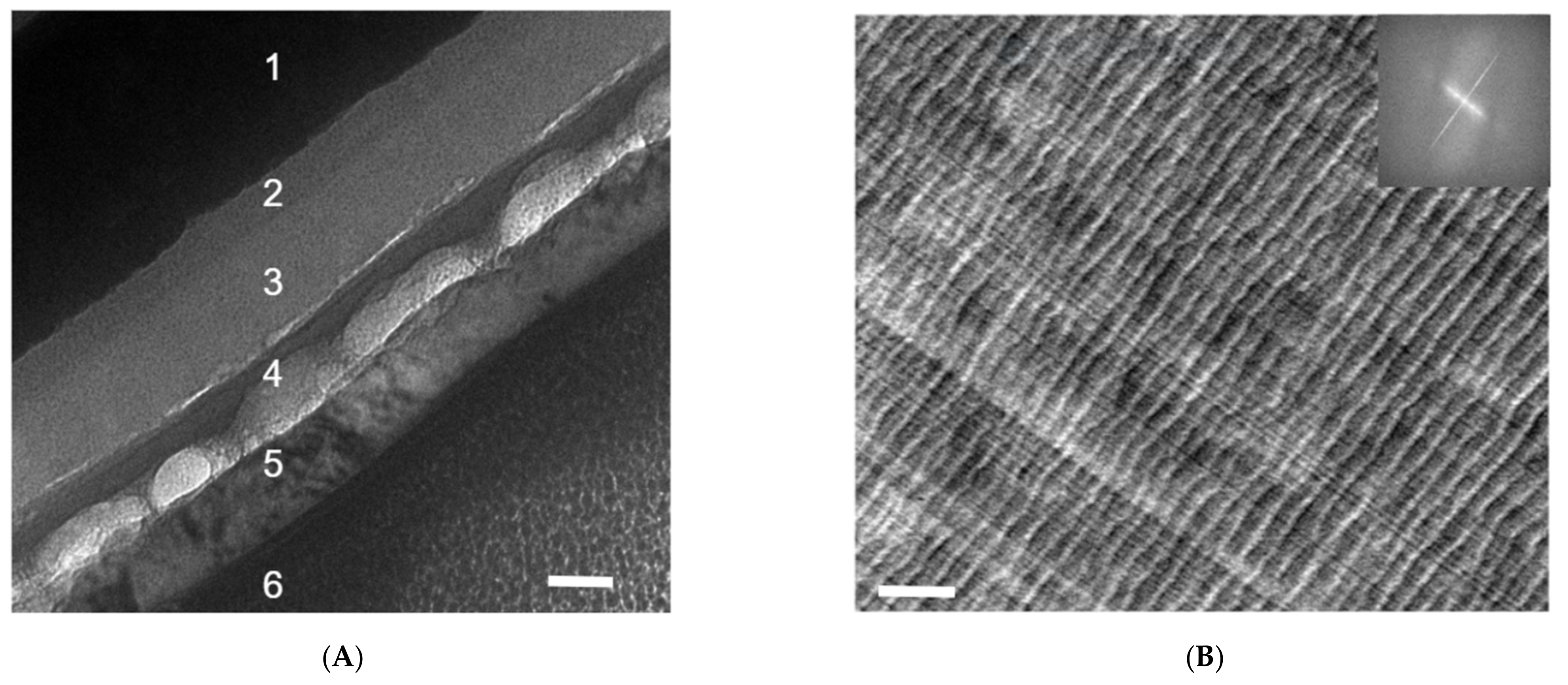 Nanomaterials 11 02405 g002