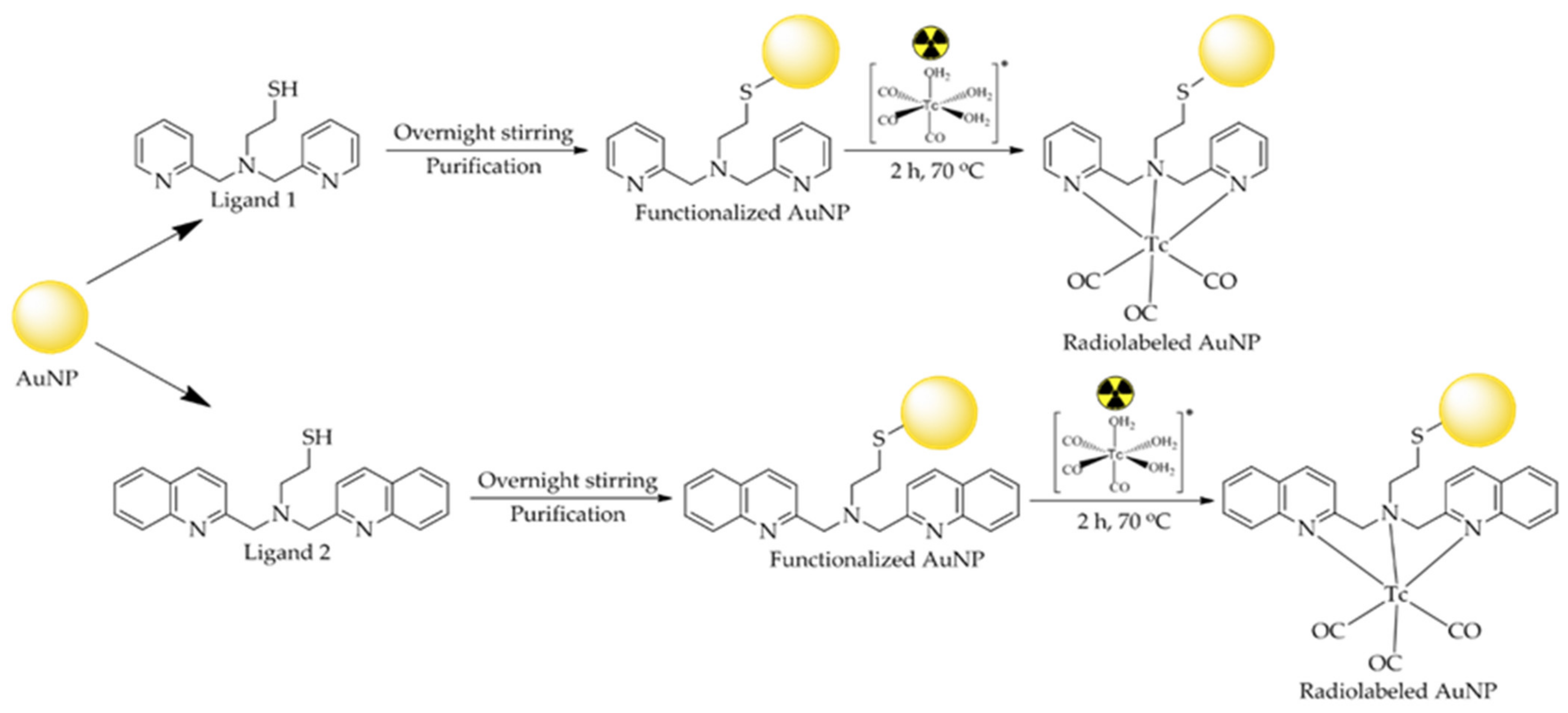 Nanomaterials 11 02406 g003