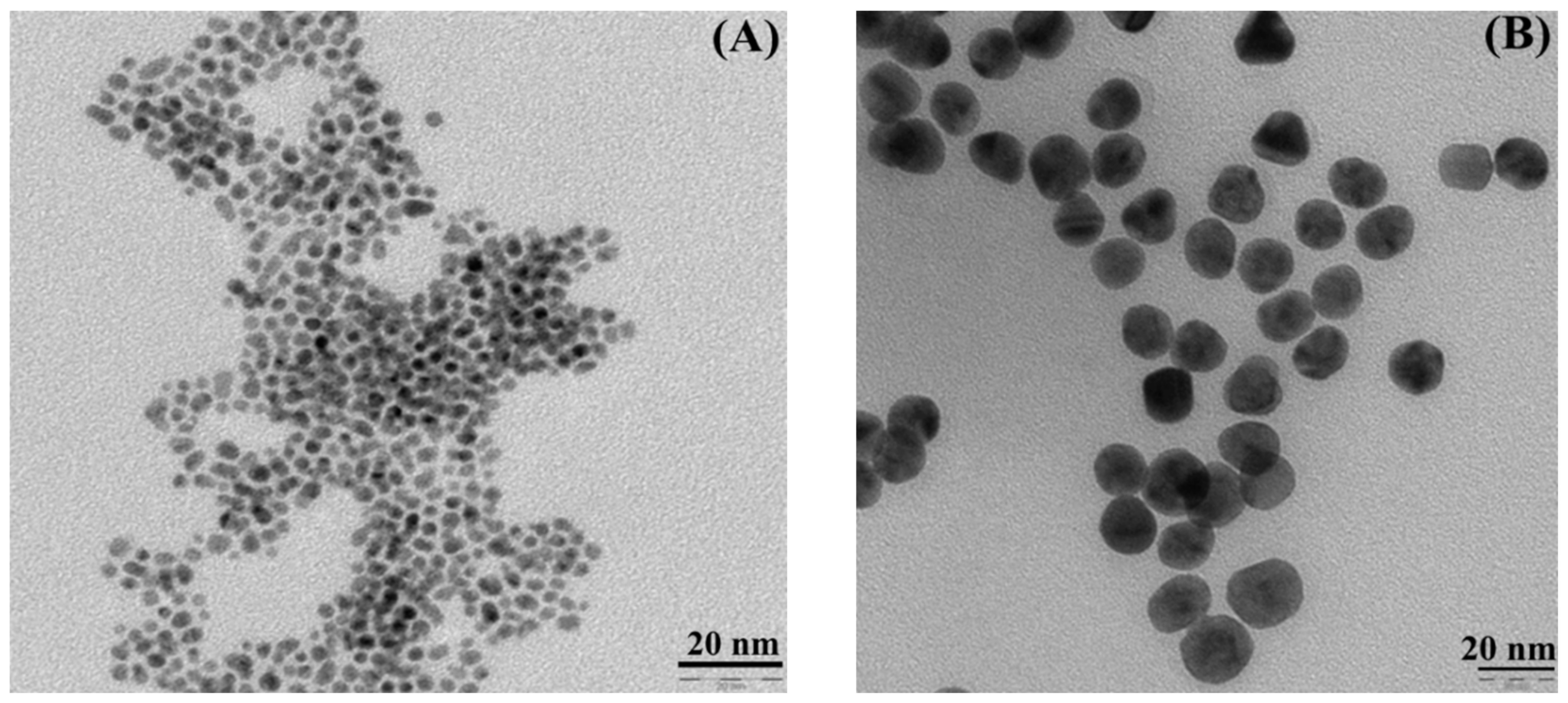 Nanomaterials 11 02406 g004