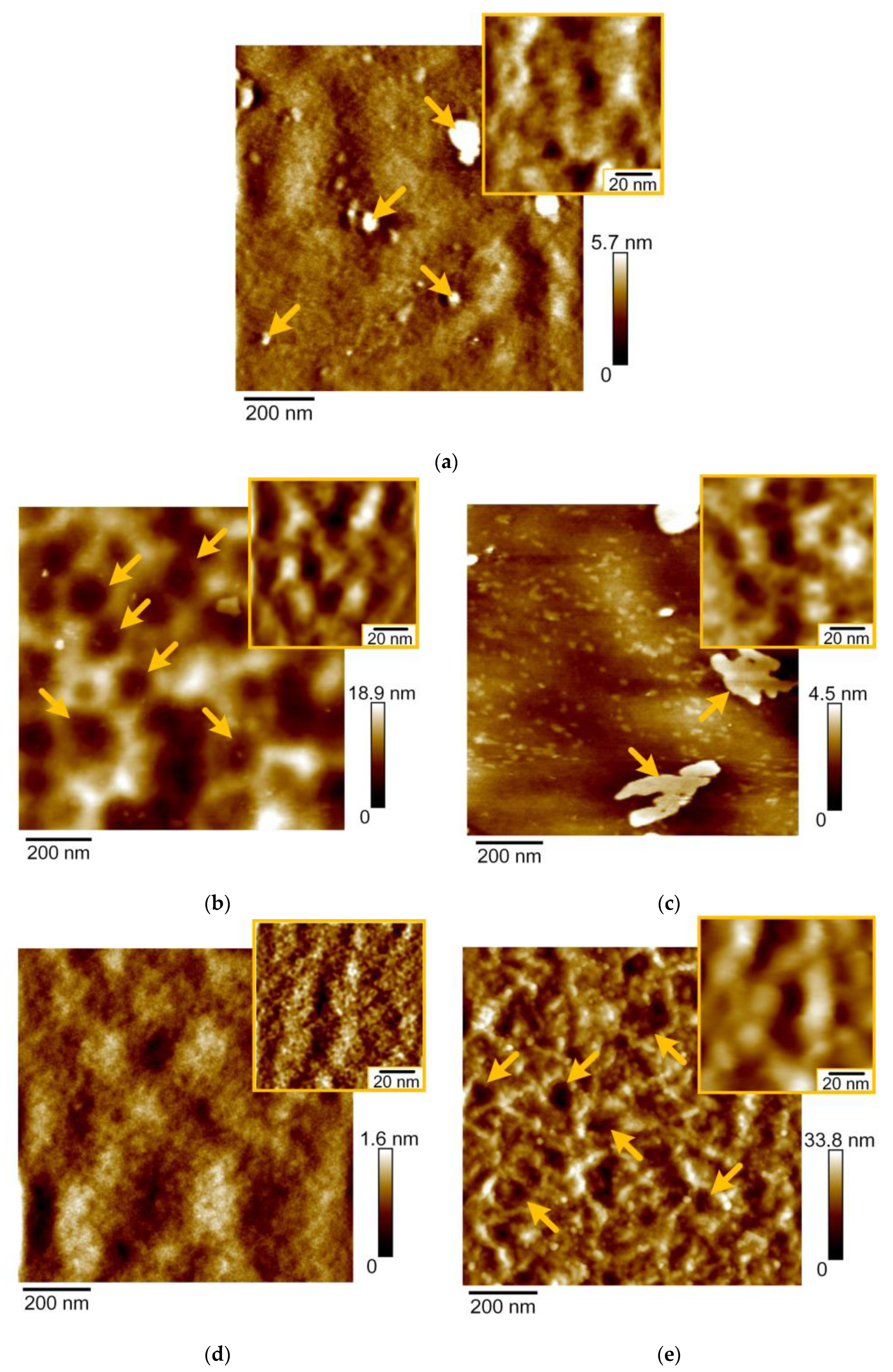 Nanomaterials 11 02407 g004