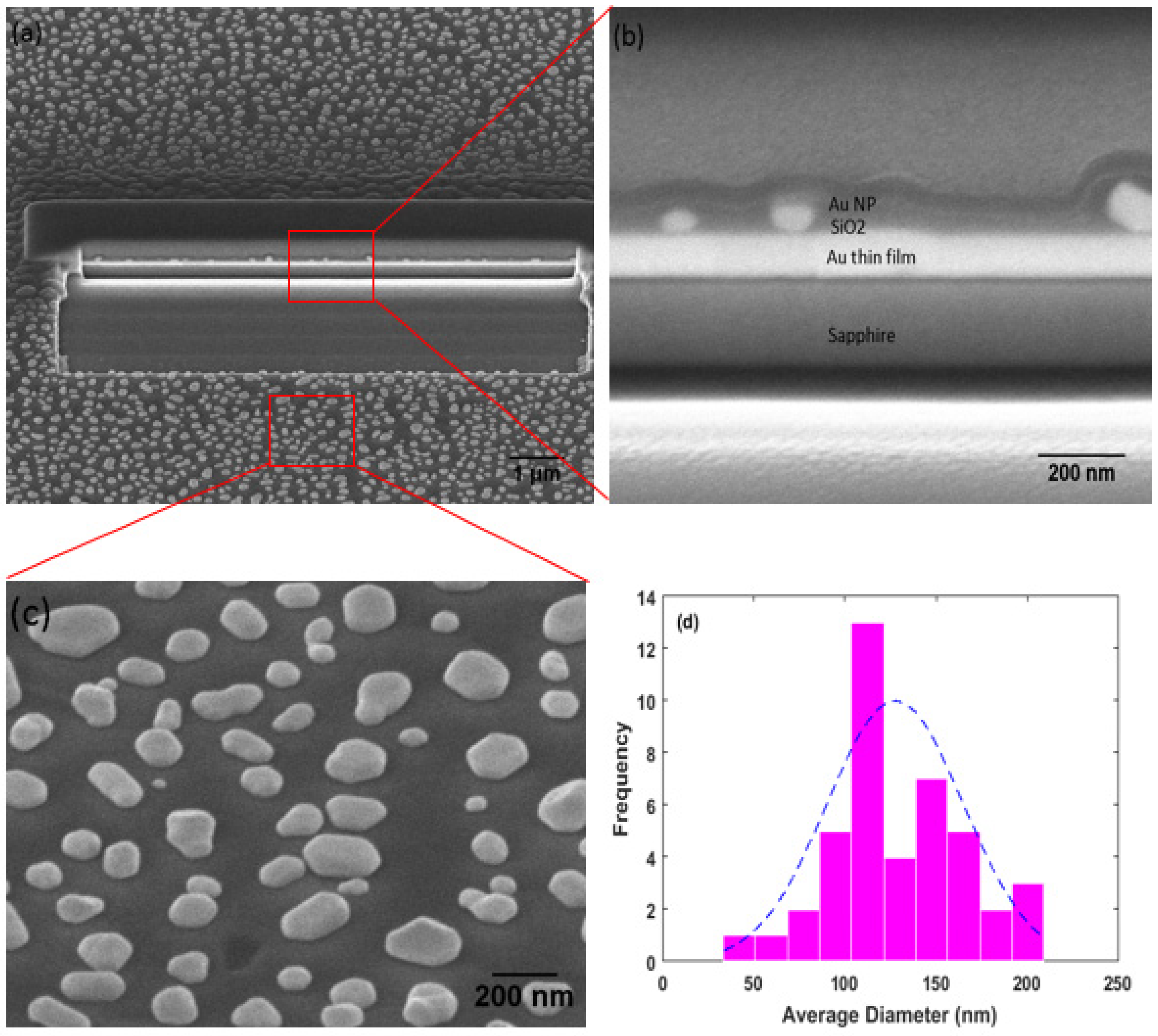 Nanomaterials 11 02416 g002