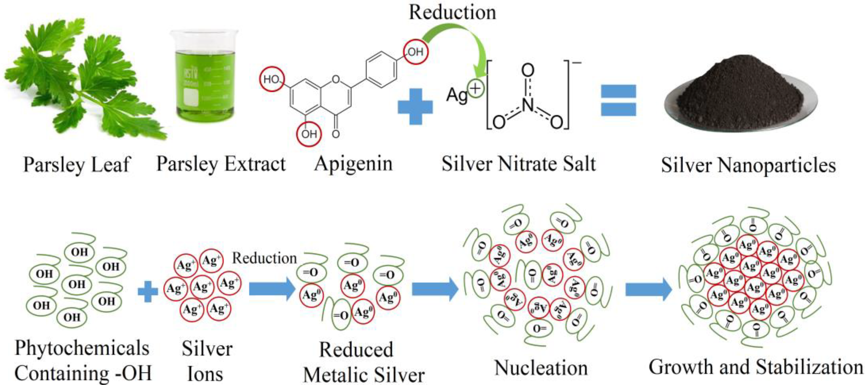 Nanomaterials 11 02421 g001