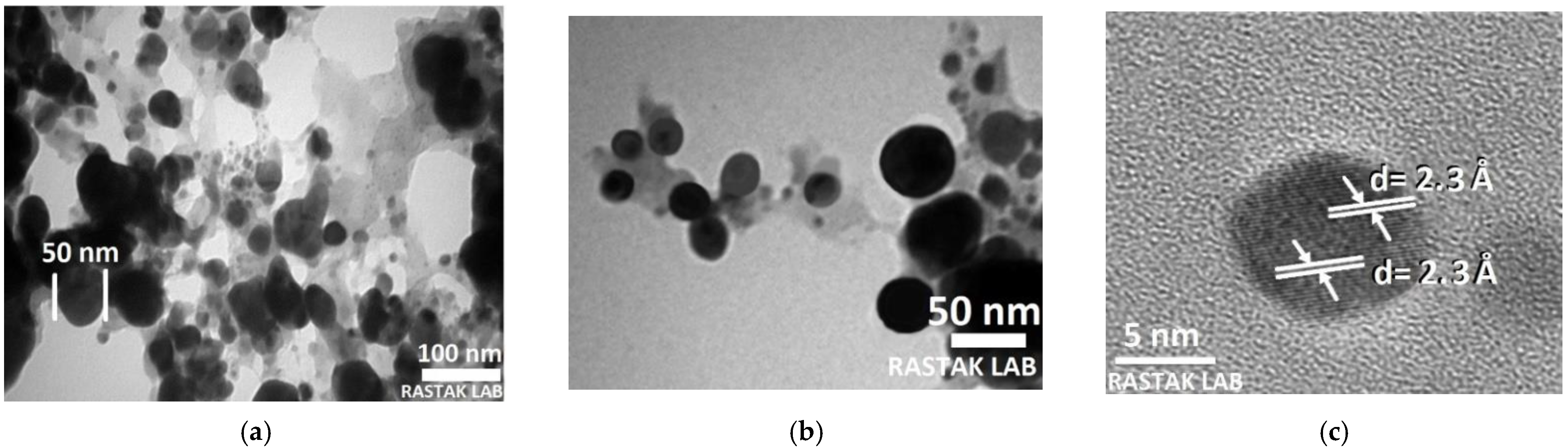 Nanomaterials 11 02421 g008