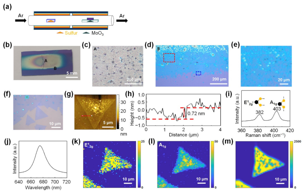 Nanomaterials 11 02423 g001