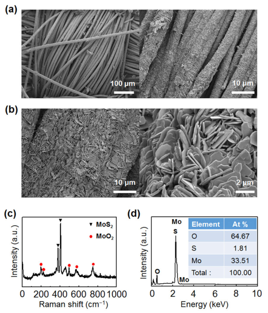 Nanomaterials 11 02423 g003
