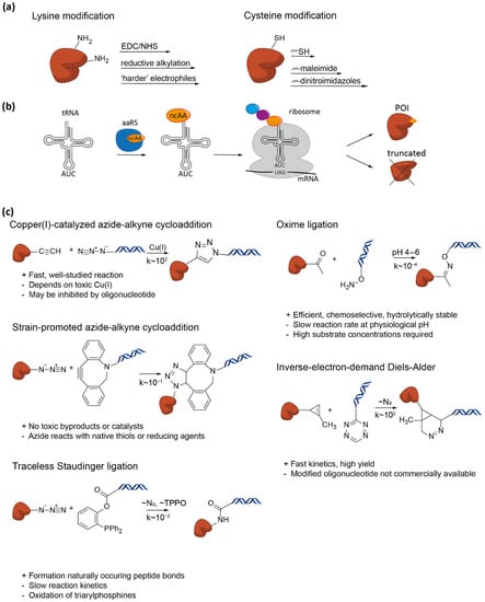 Nanomaterials 11 02424 g003 550