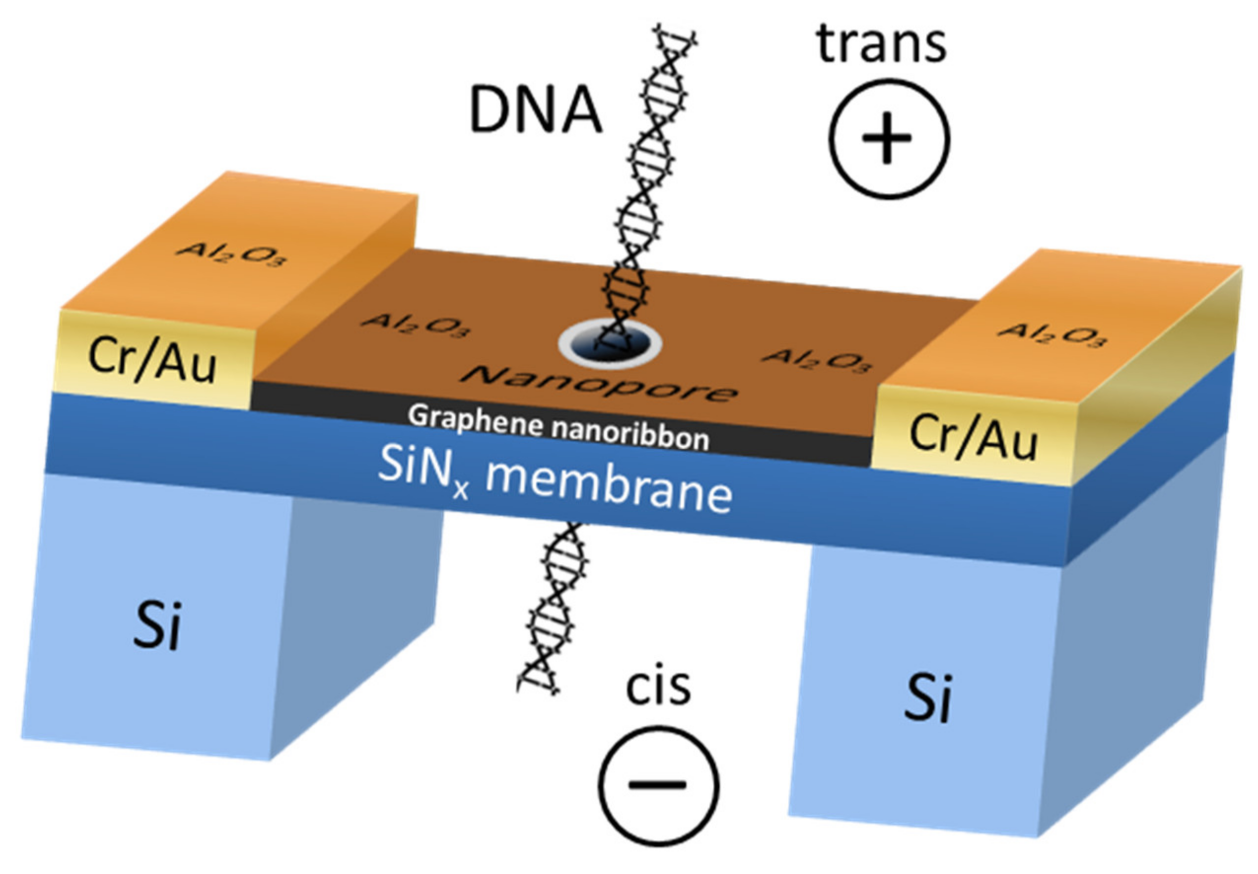 Nanomaterials 11 02425 g004 Nanomaterials 11 02425 g004