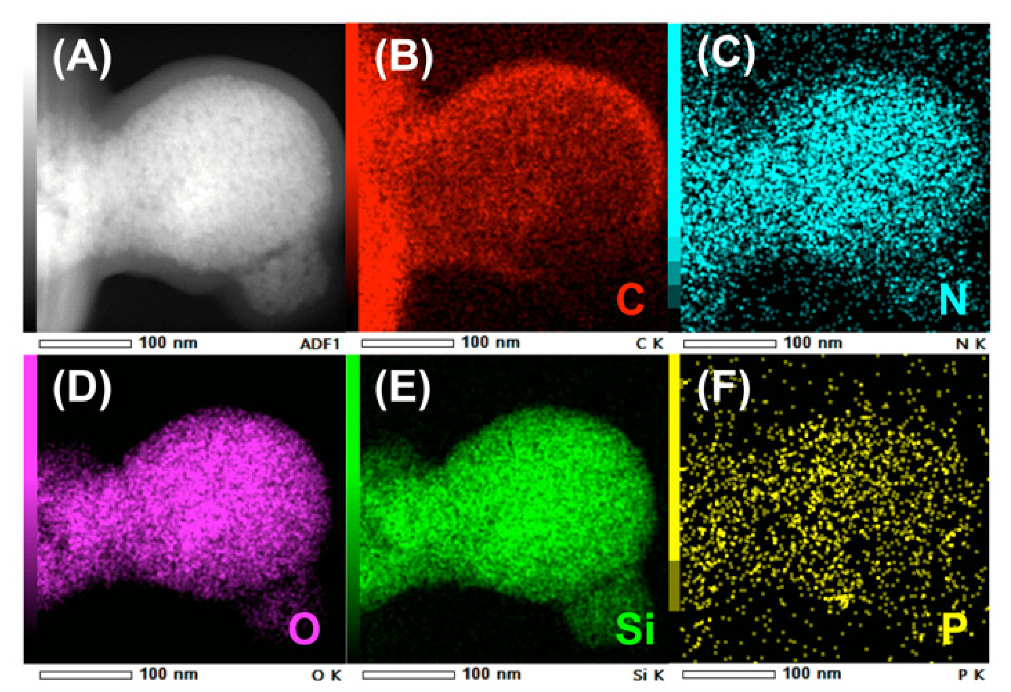 Nanomaterials 11 02440 g005