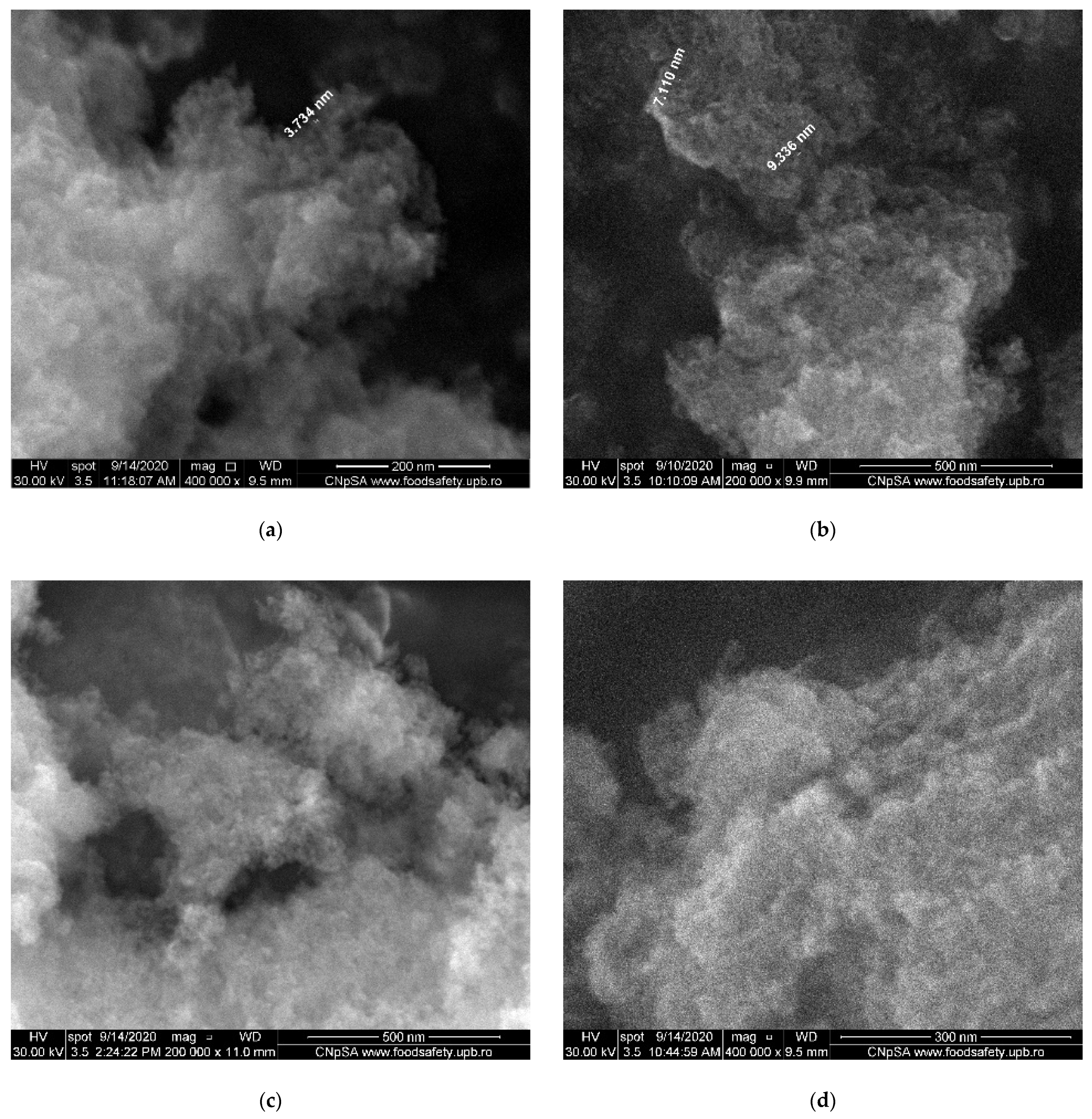 Nanomaterials 11 02442 g006a