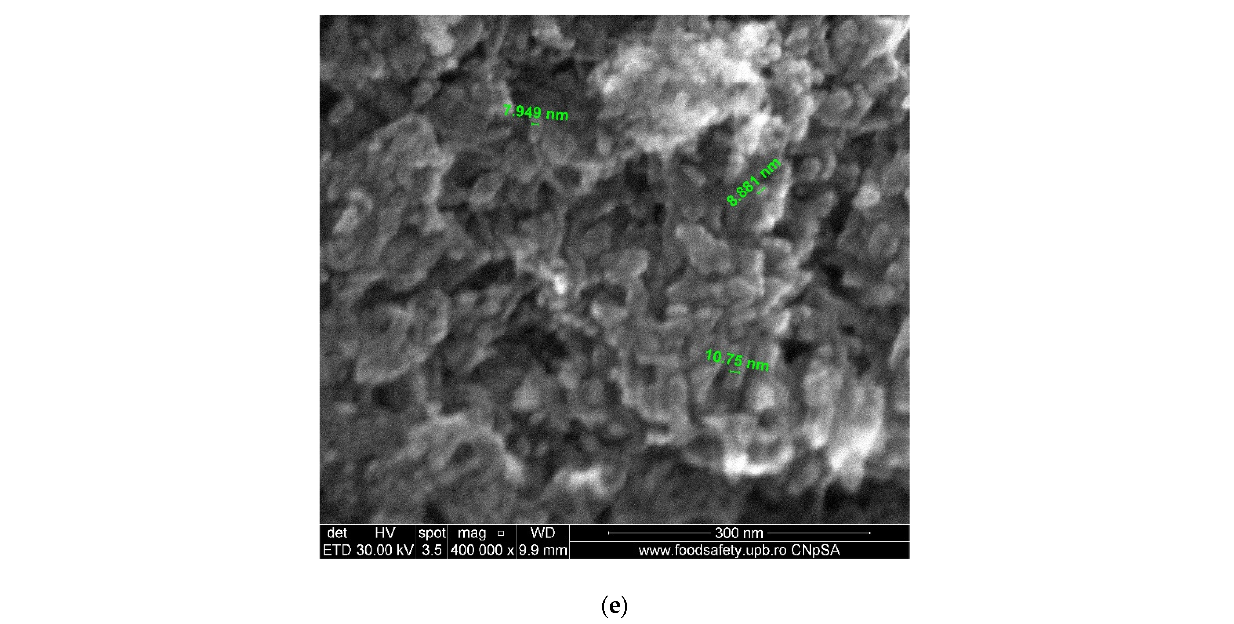 Nanomaterials 11 02442 g006b