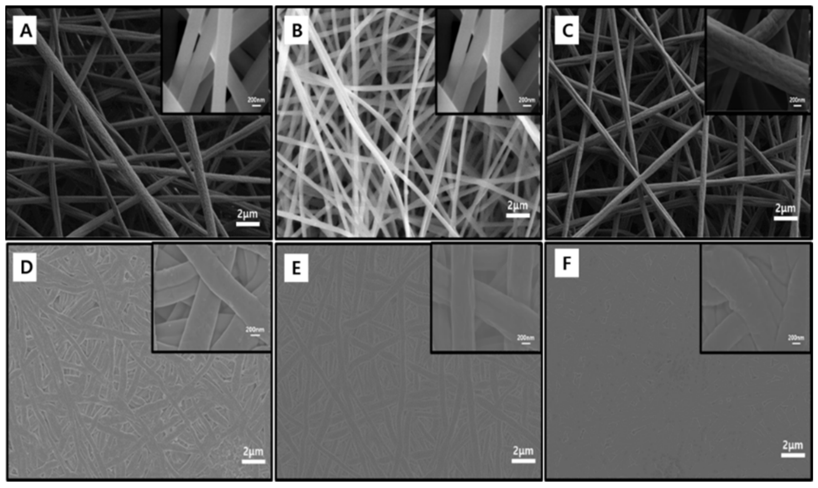 Nanomaterials 11 02447 g001