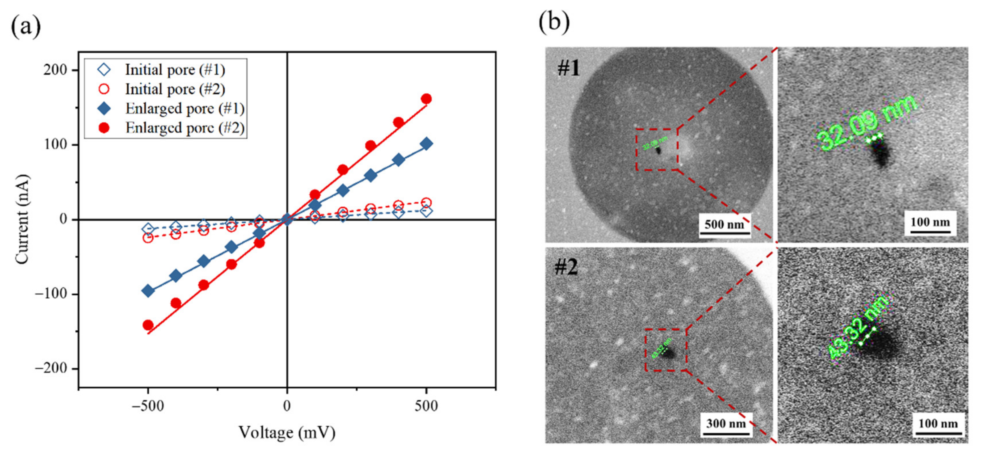 Nanomaterials 11 02450 g003