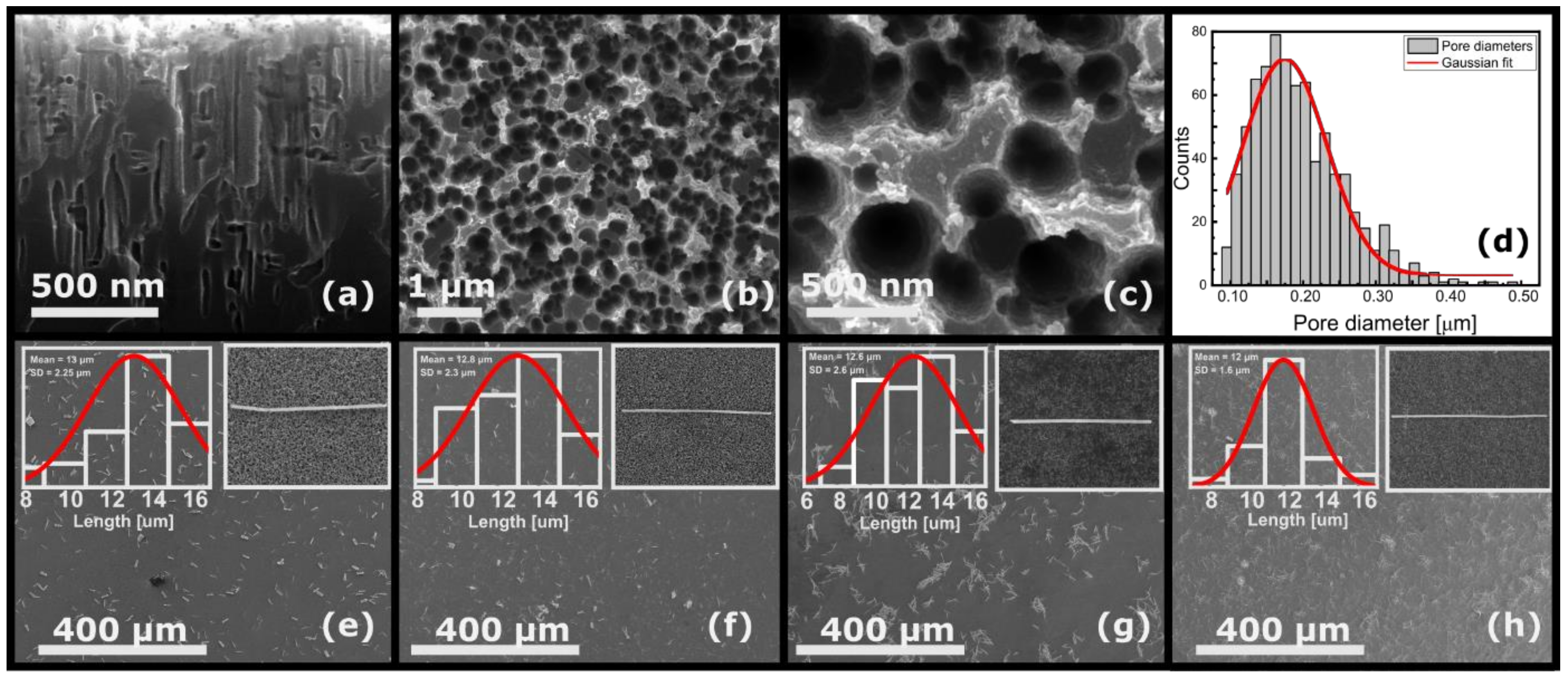 Nanomaterials 11 02460 g001