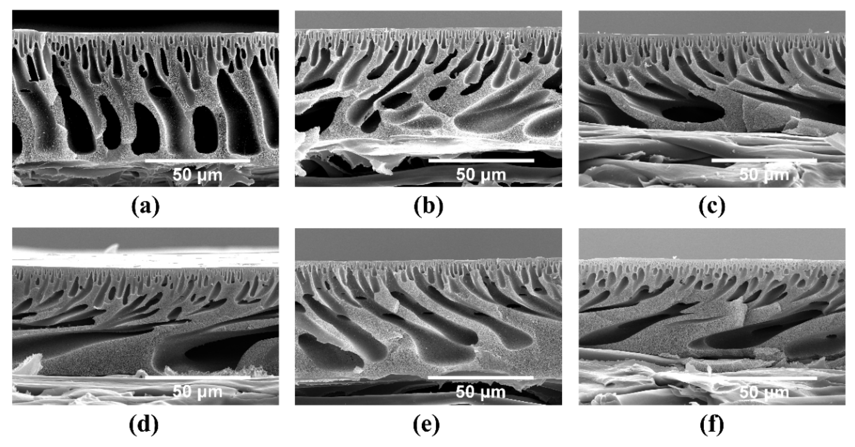 Nanomaterials 11 02470 g003