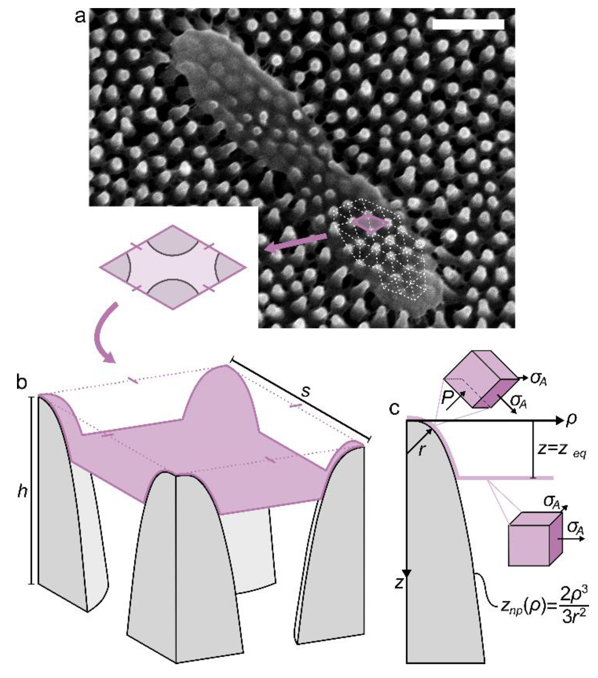Nanomaterials 11 02472 g001