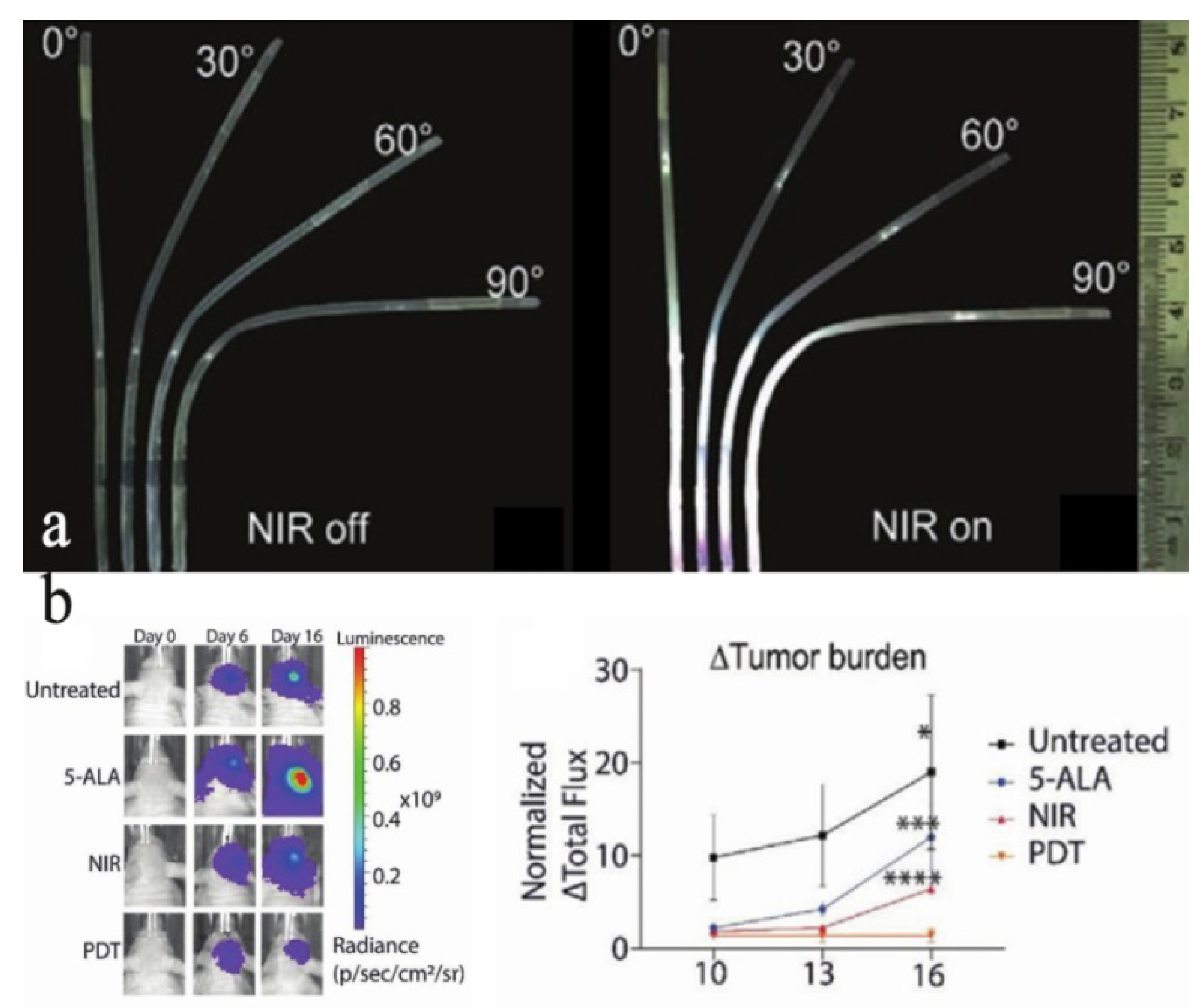 Nanomaterials 11 02474 g004