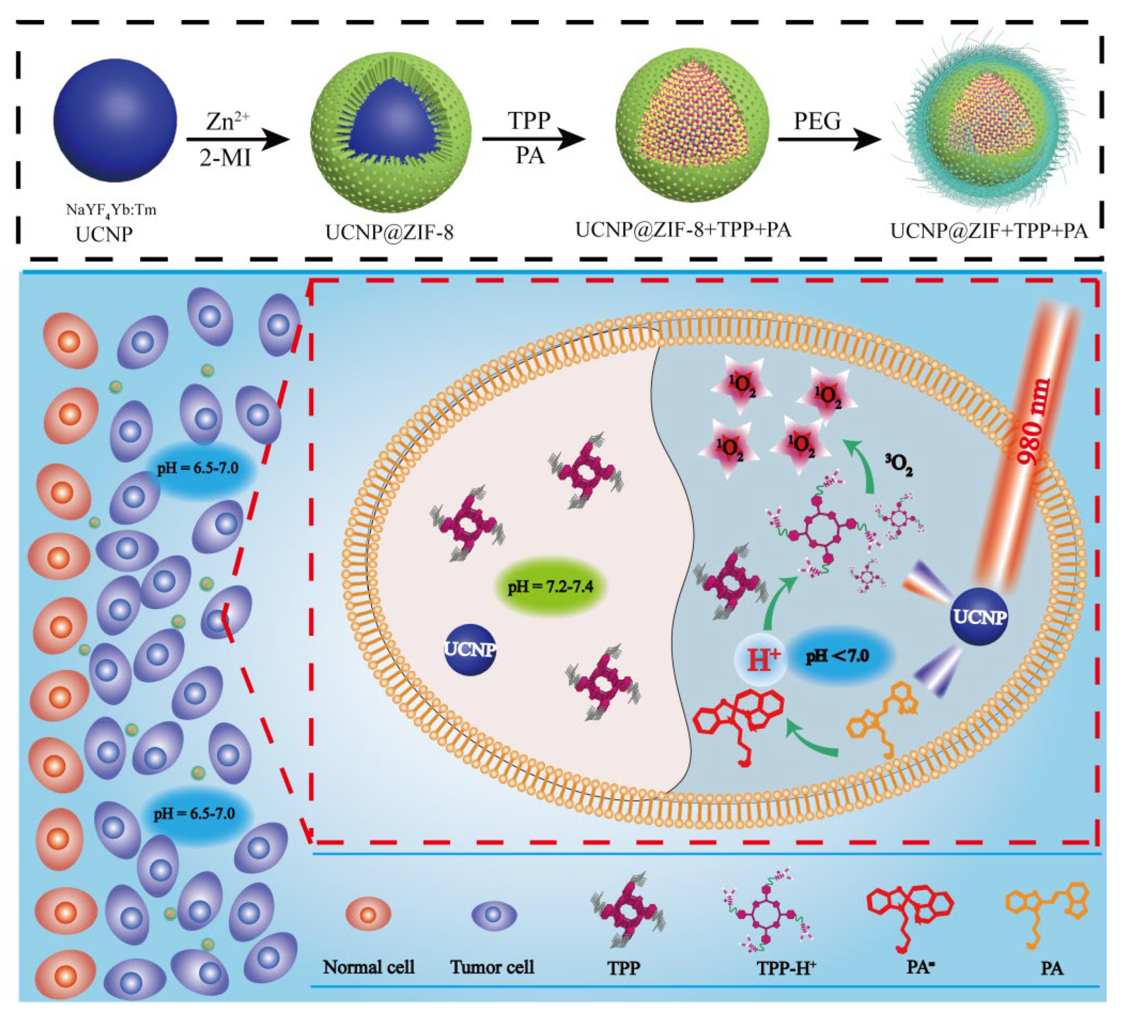 Nanomaterials 11 02474 g005