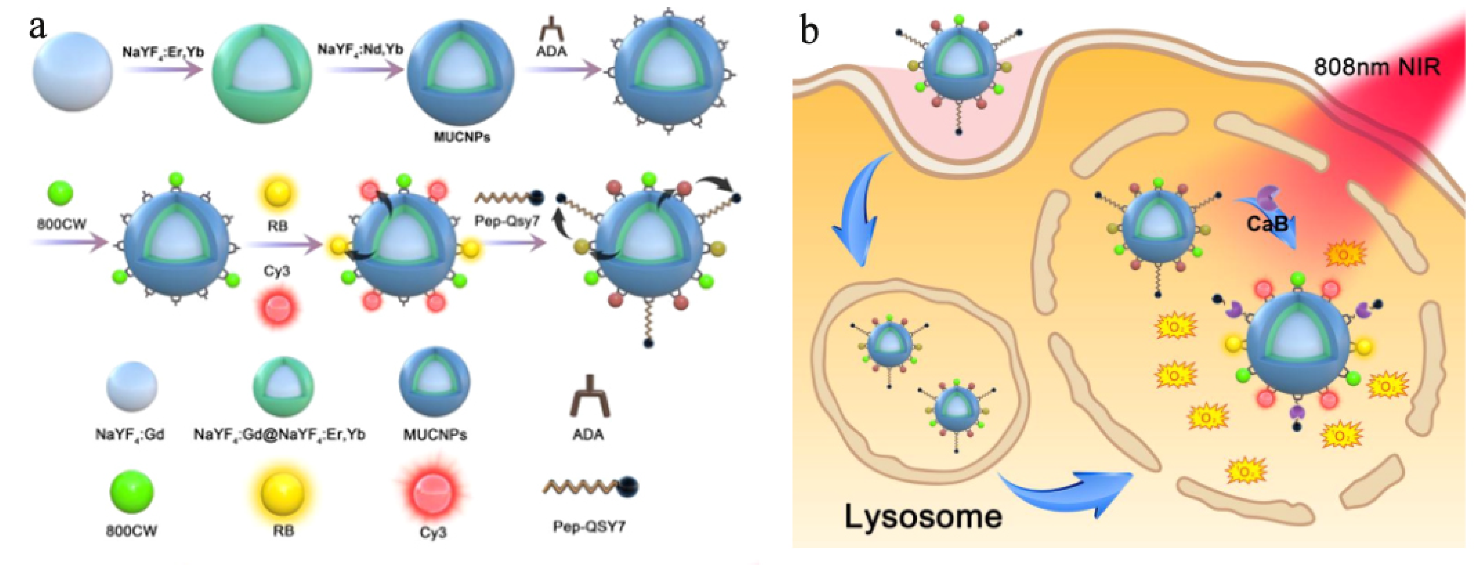 Nanomaterials 11 02474 g006