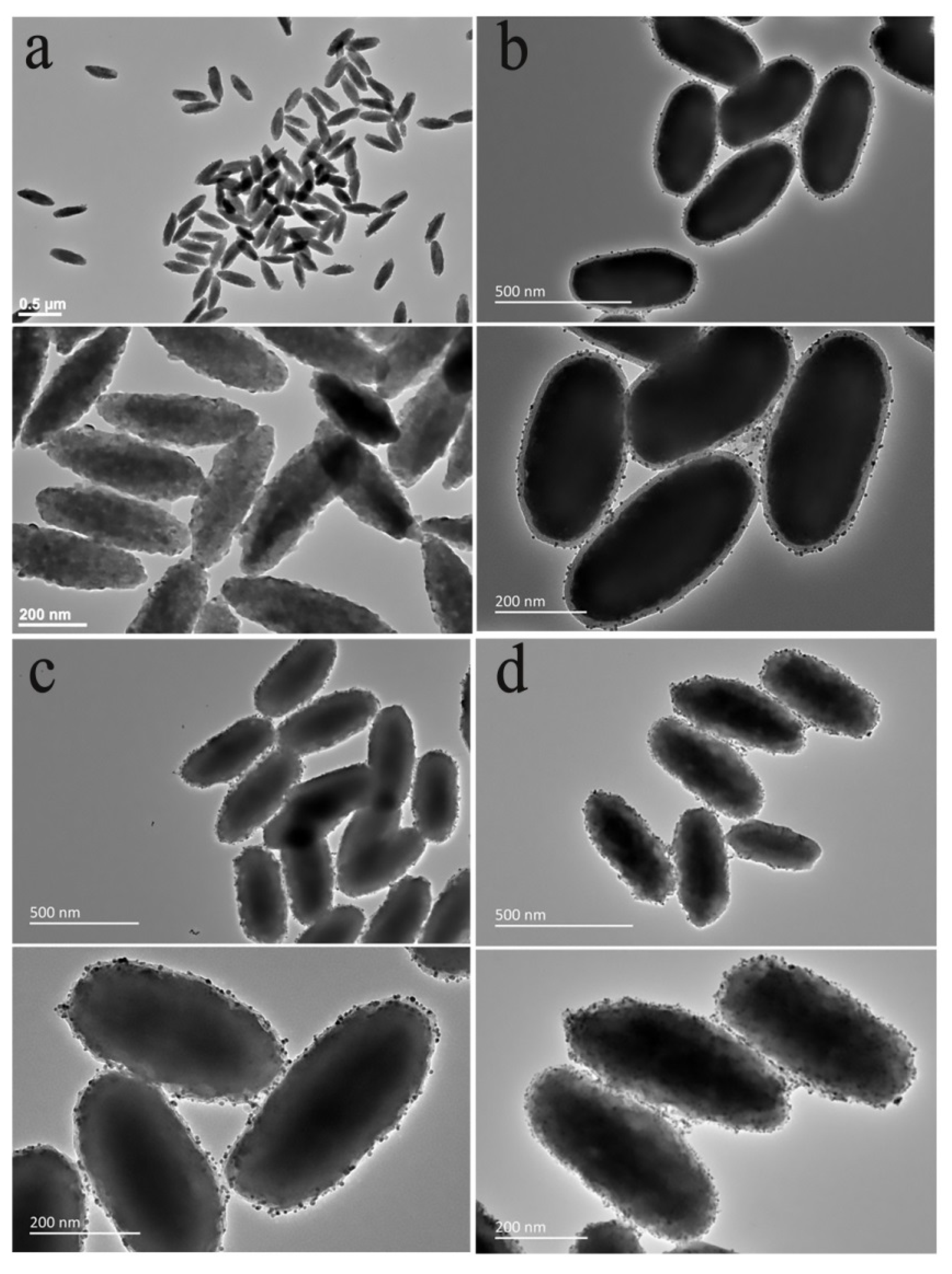 Nanomaterials 11 02474 g008