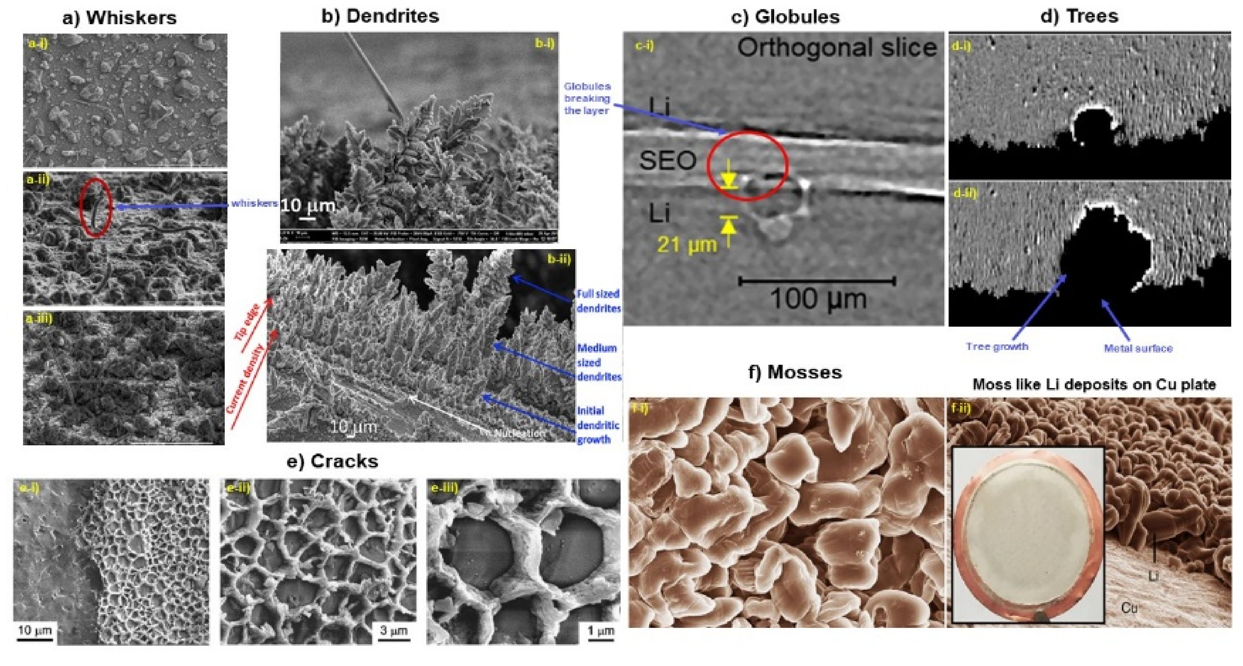 Nanomaterials 11 02476 g014
