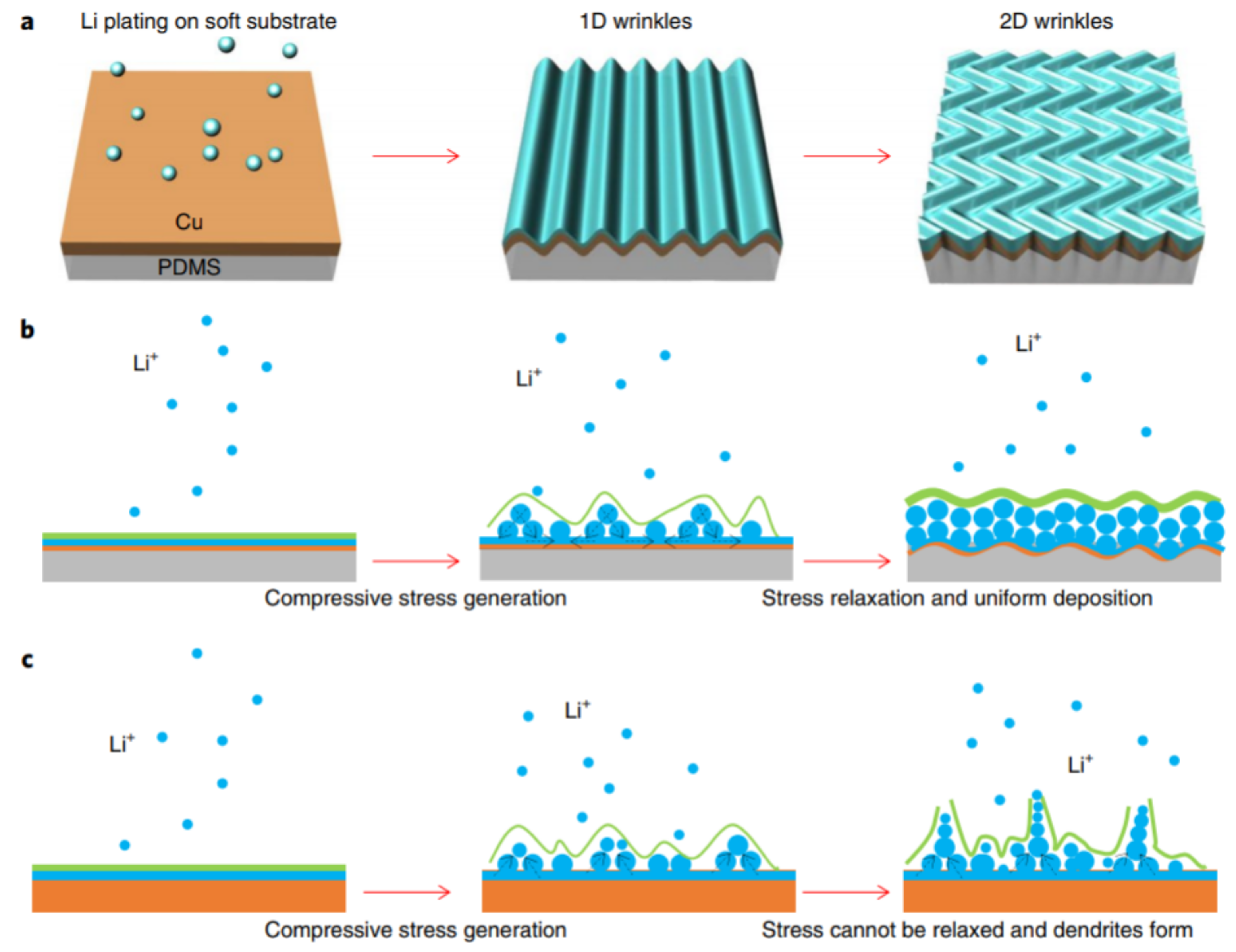 Nanomaterials 11 02476 g025