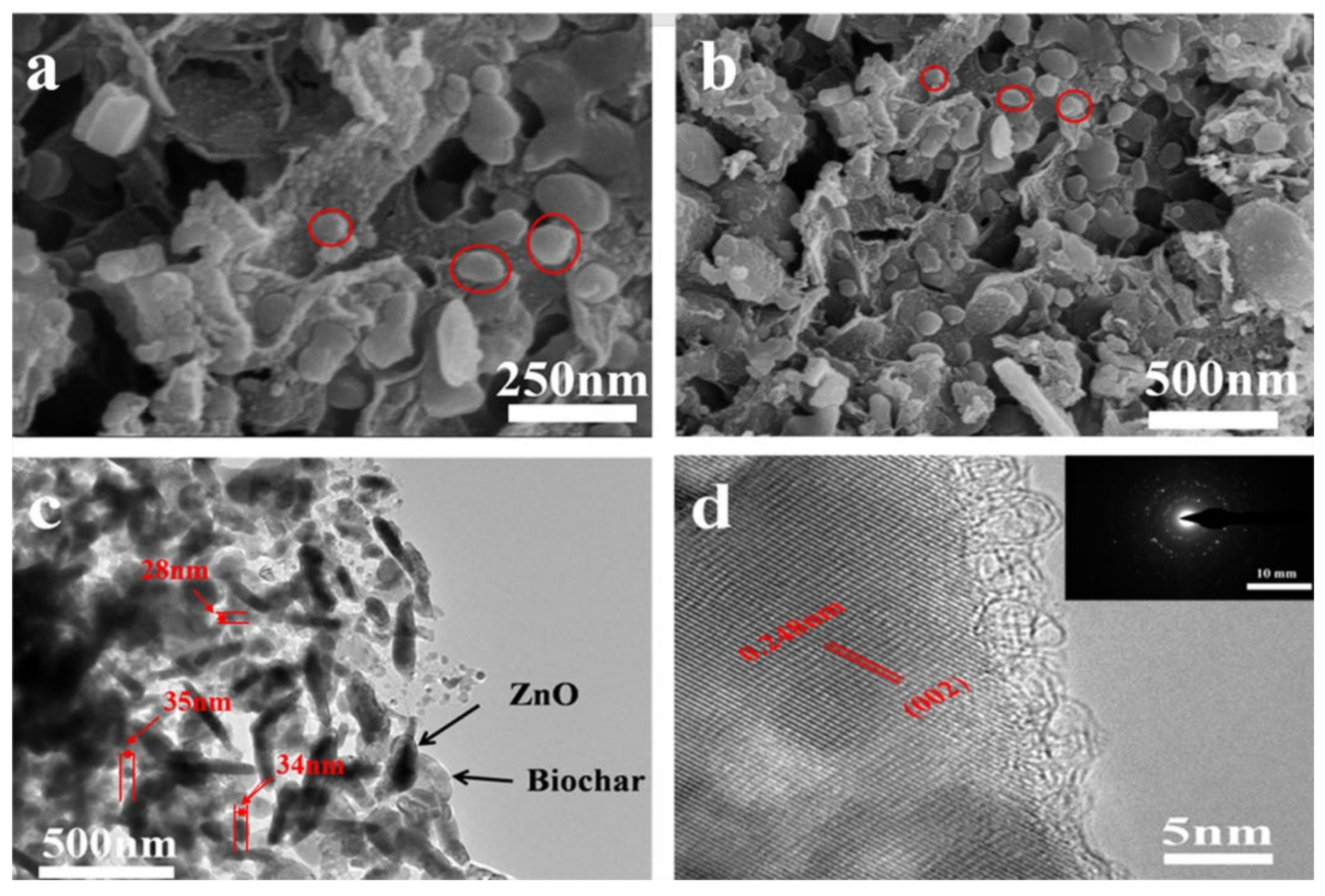 Nanomaterials 11 02479 g001