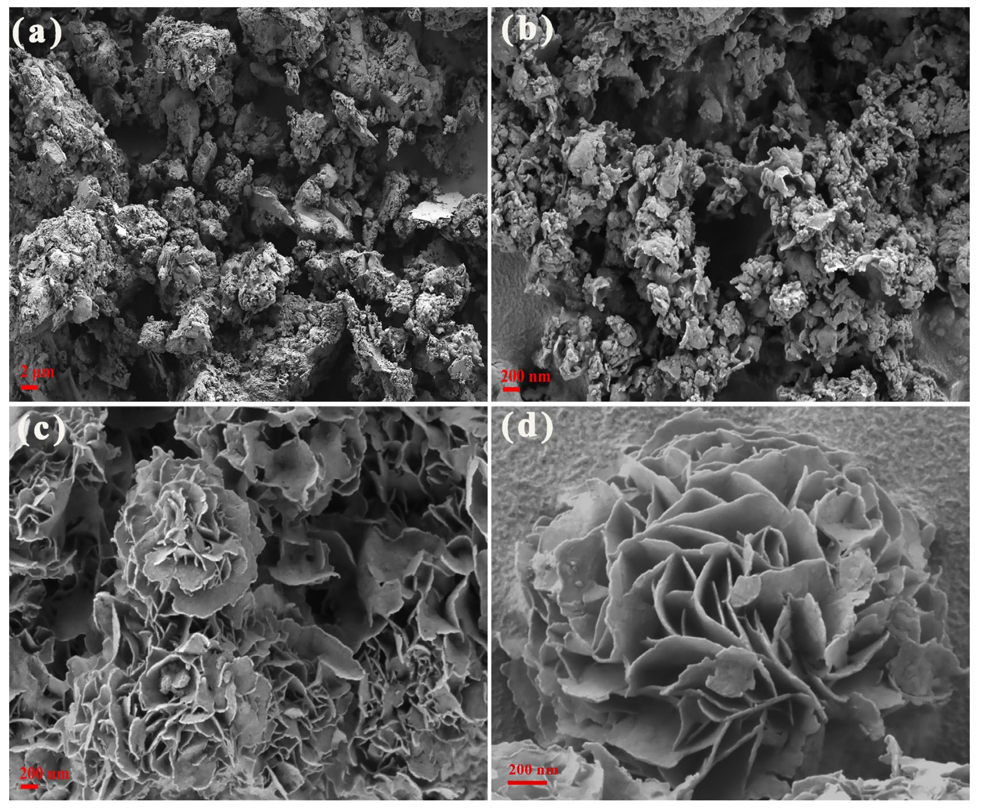 Nanomaterials 11 02483 g002