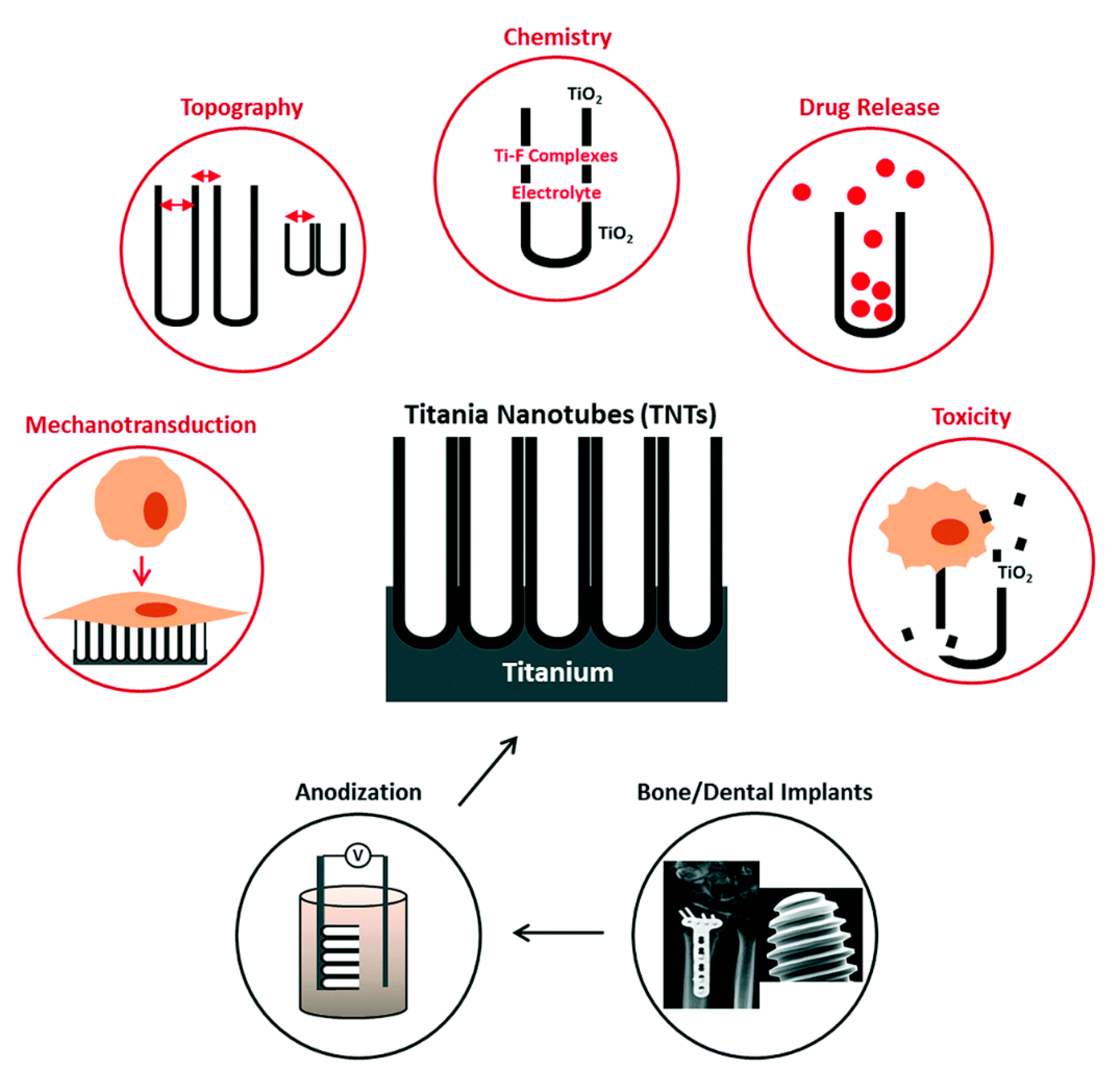 Nanomaterials 11 02489 g001