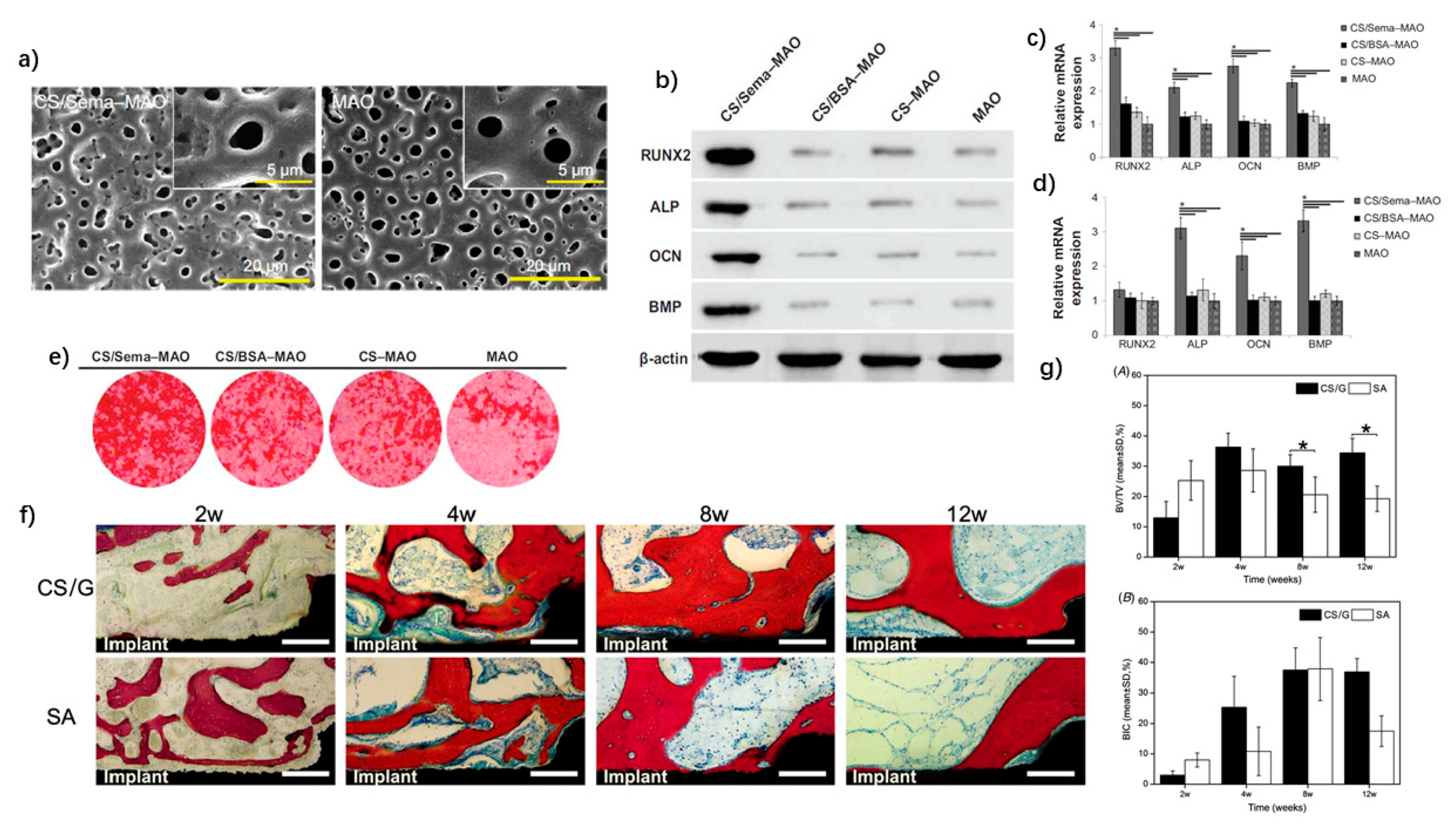 Nanomaterials 11 02489 g003